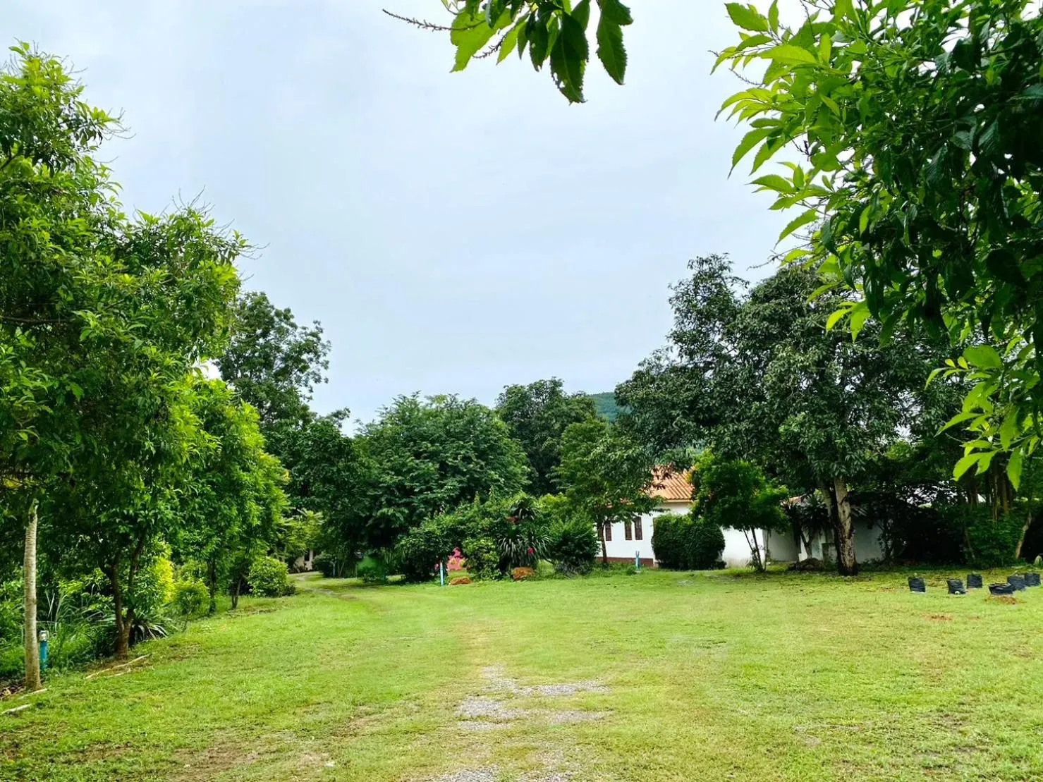 Natural landscape in Relax Camp Resort Kaeng Krachan
