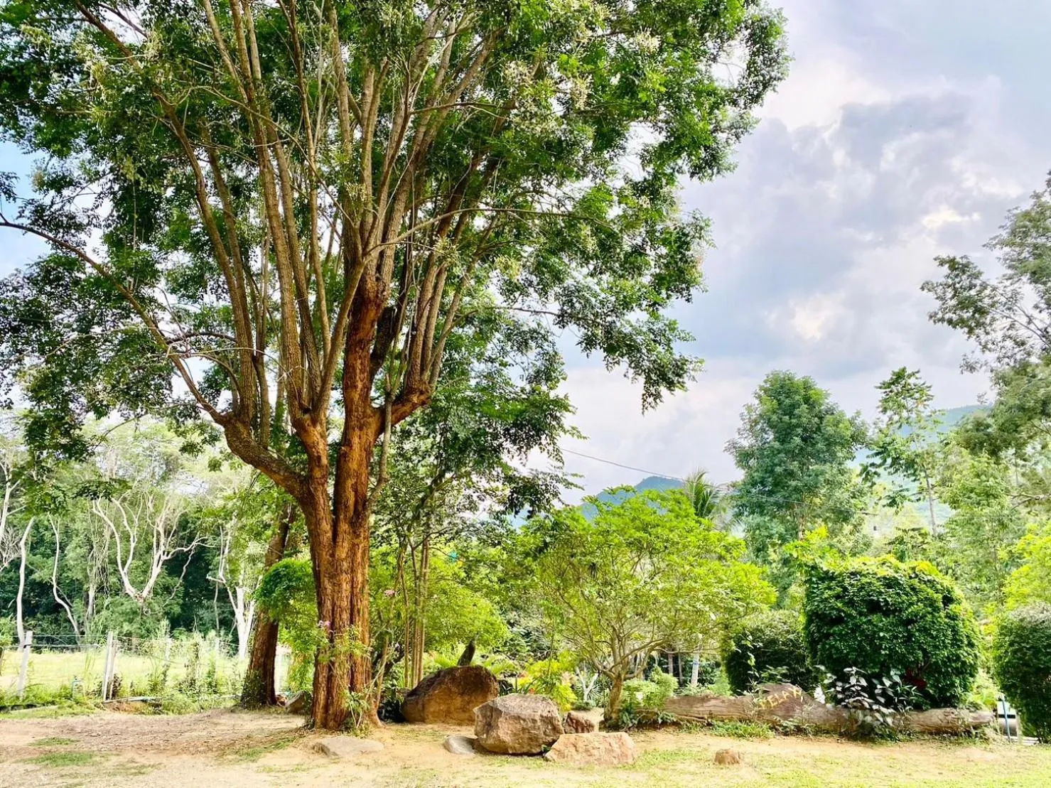 Natural landscape in Relax Camp Resort Kaeng Krachan