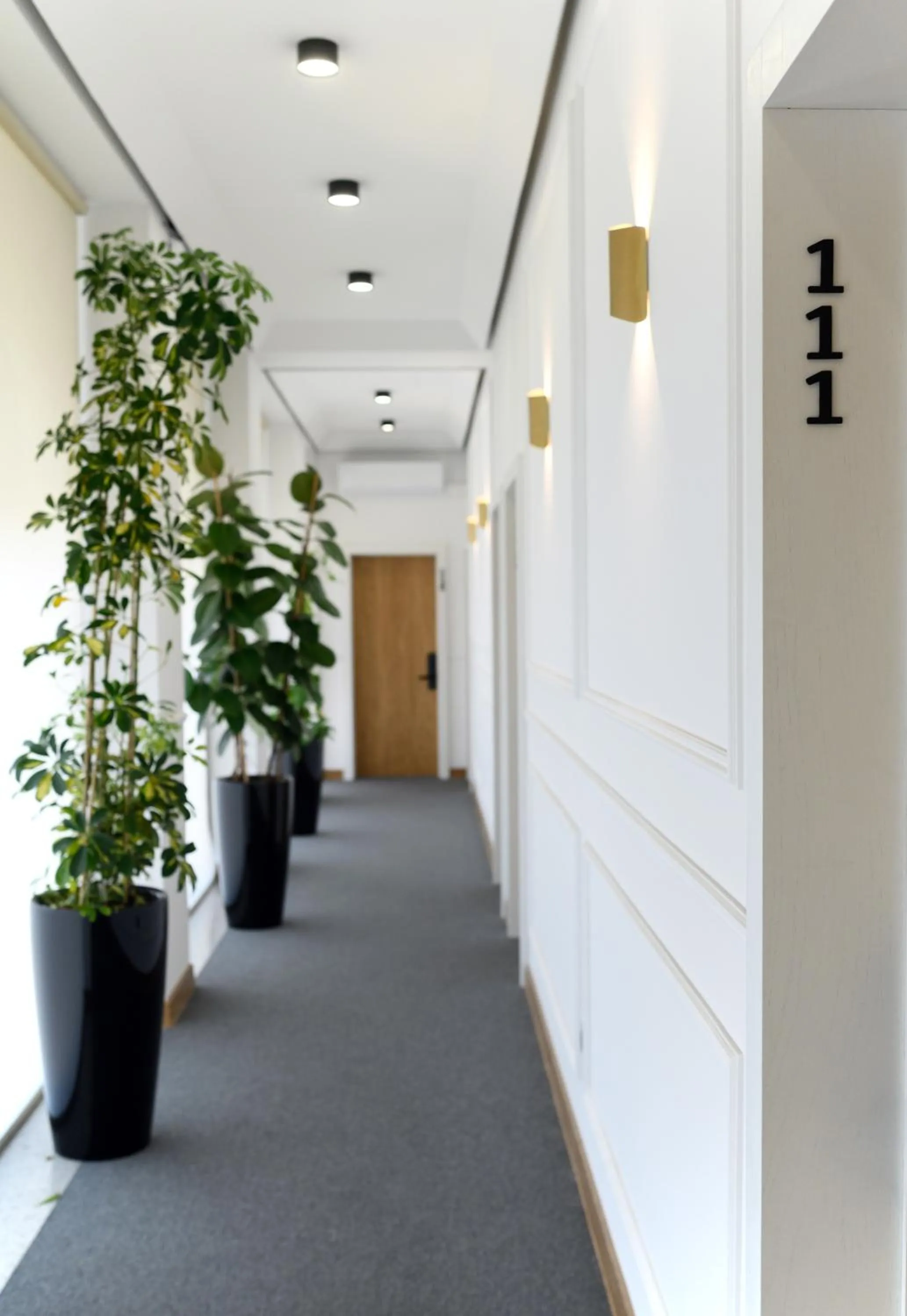 Area and facilities in Revive Boutique Hotel