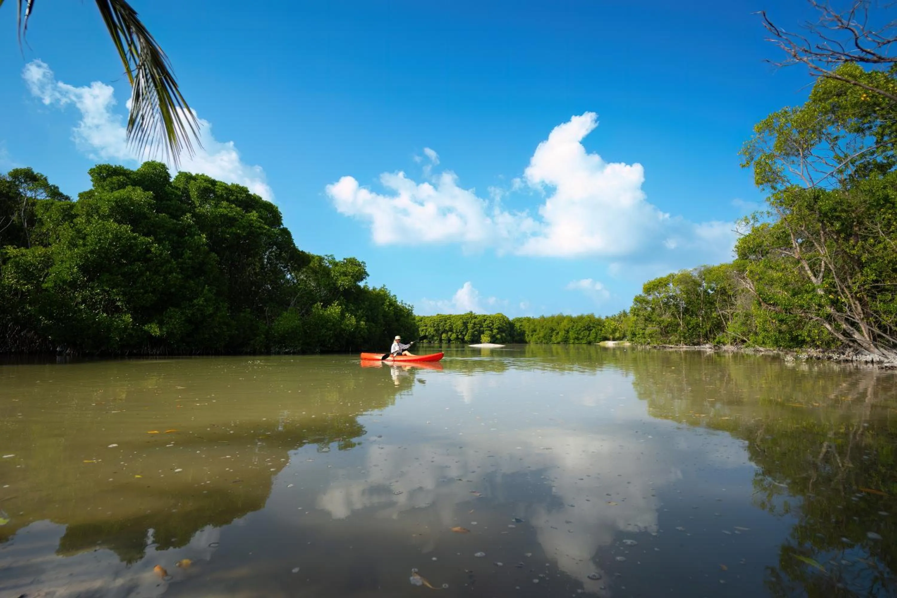 Activities in Silver Oasis Maldives