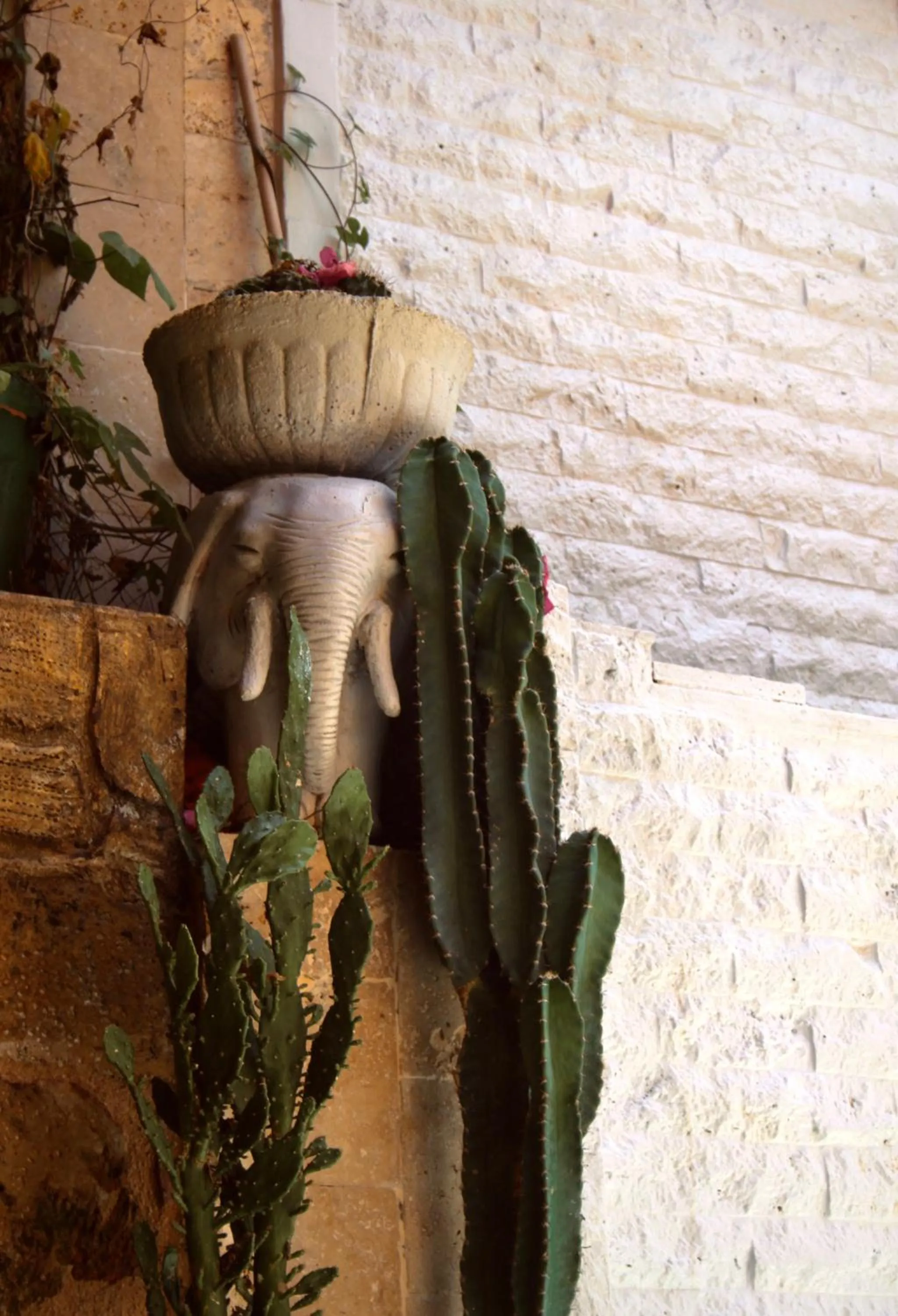 Restaurant/places to eat in Patron Hotel