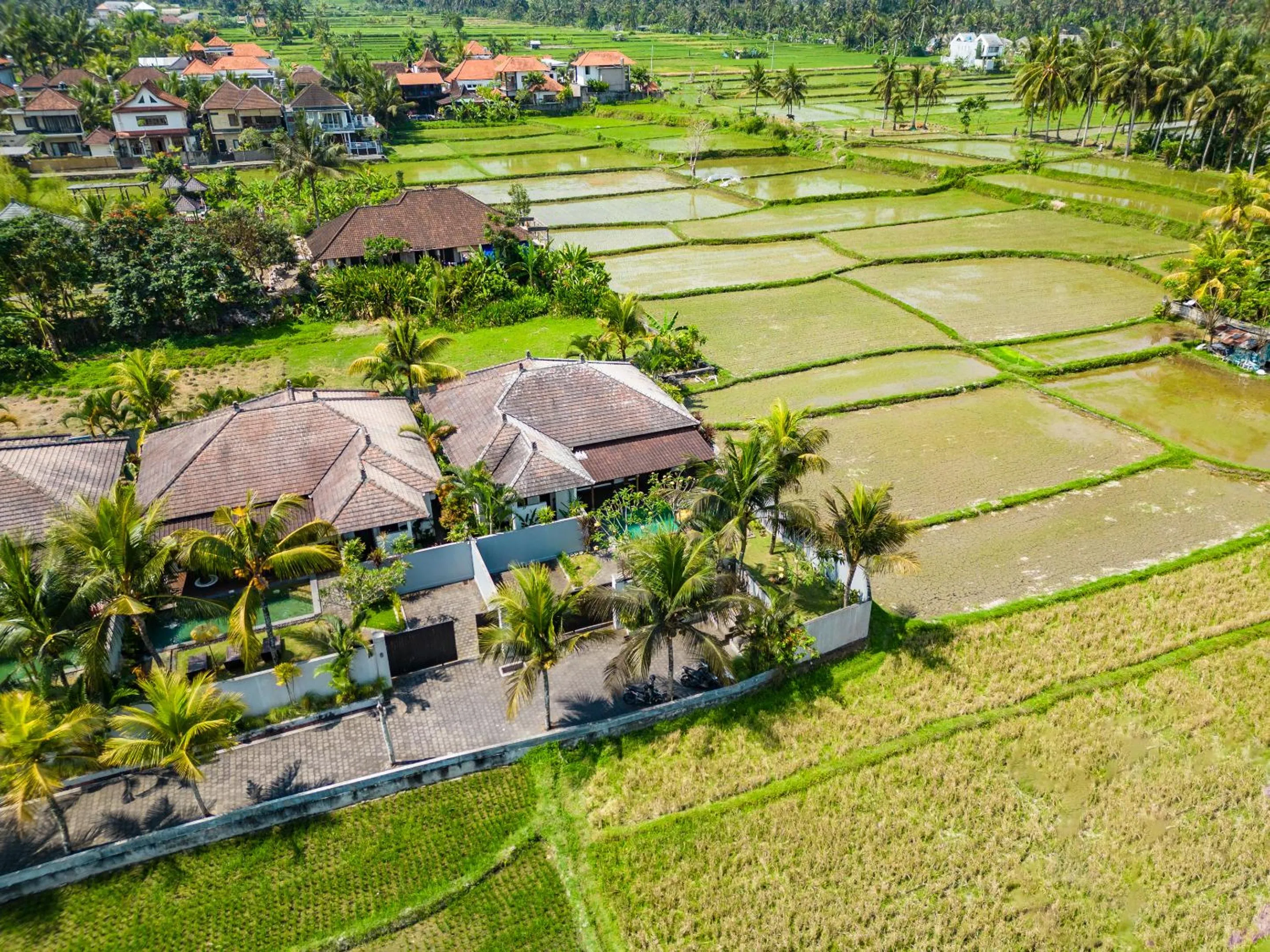 Neighbourhood in Ubud Residences 888 - Complex Private Villas with pools