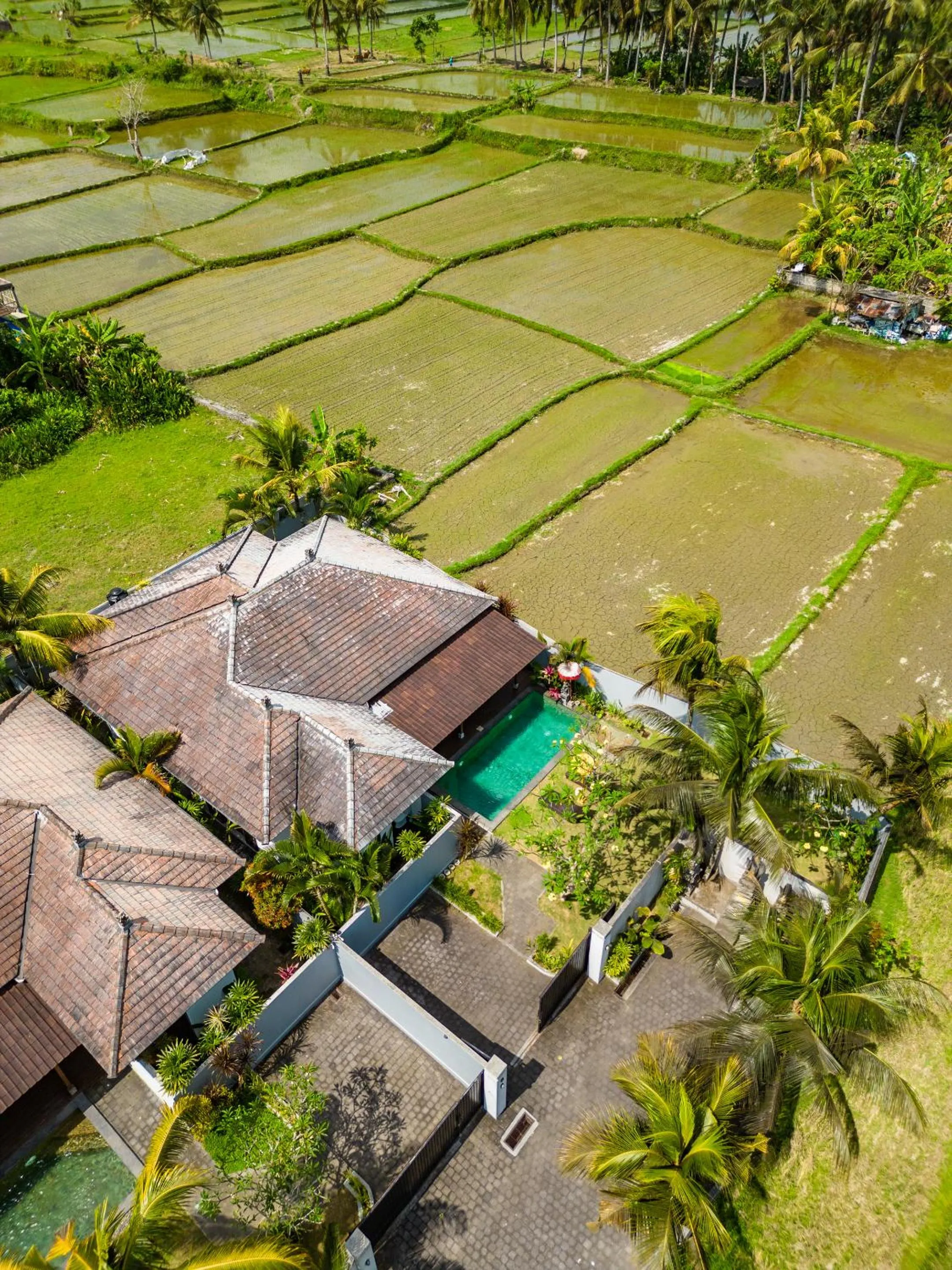 Neighbourhood in Ubud Residences 888 - Complex Private Villas with pools