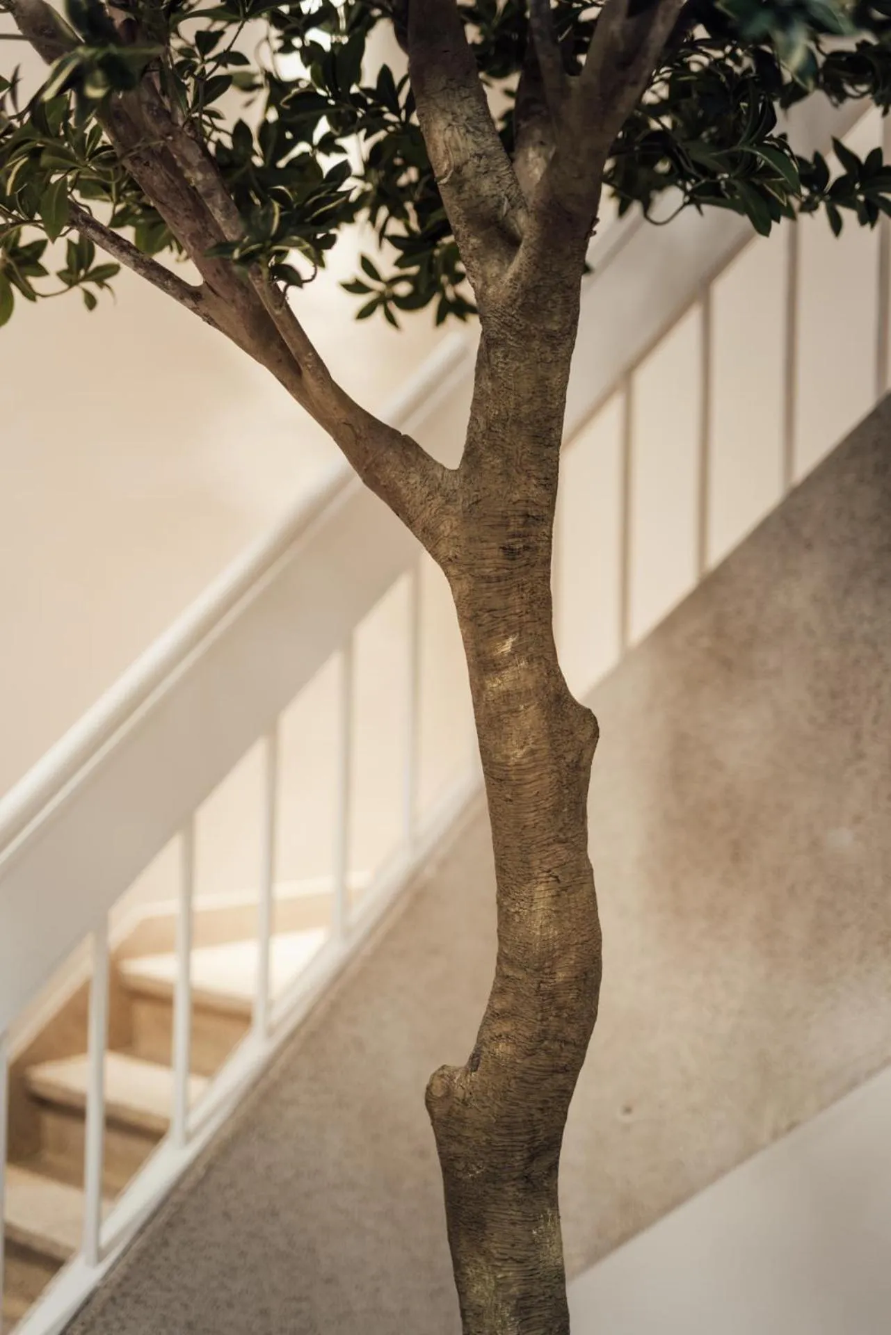 Property building in Getaway Liège