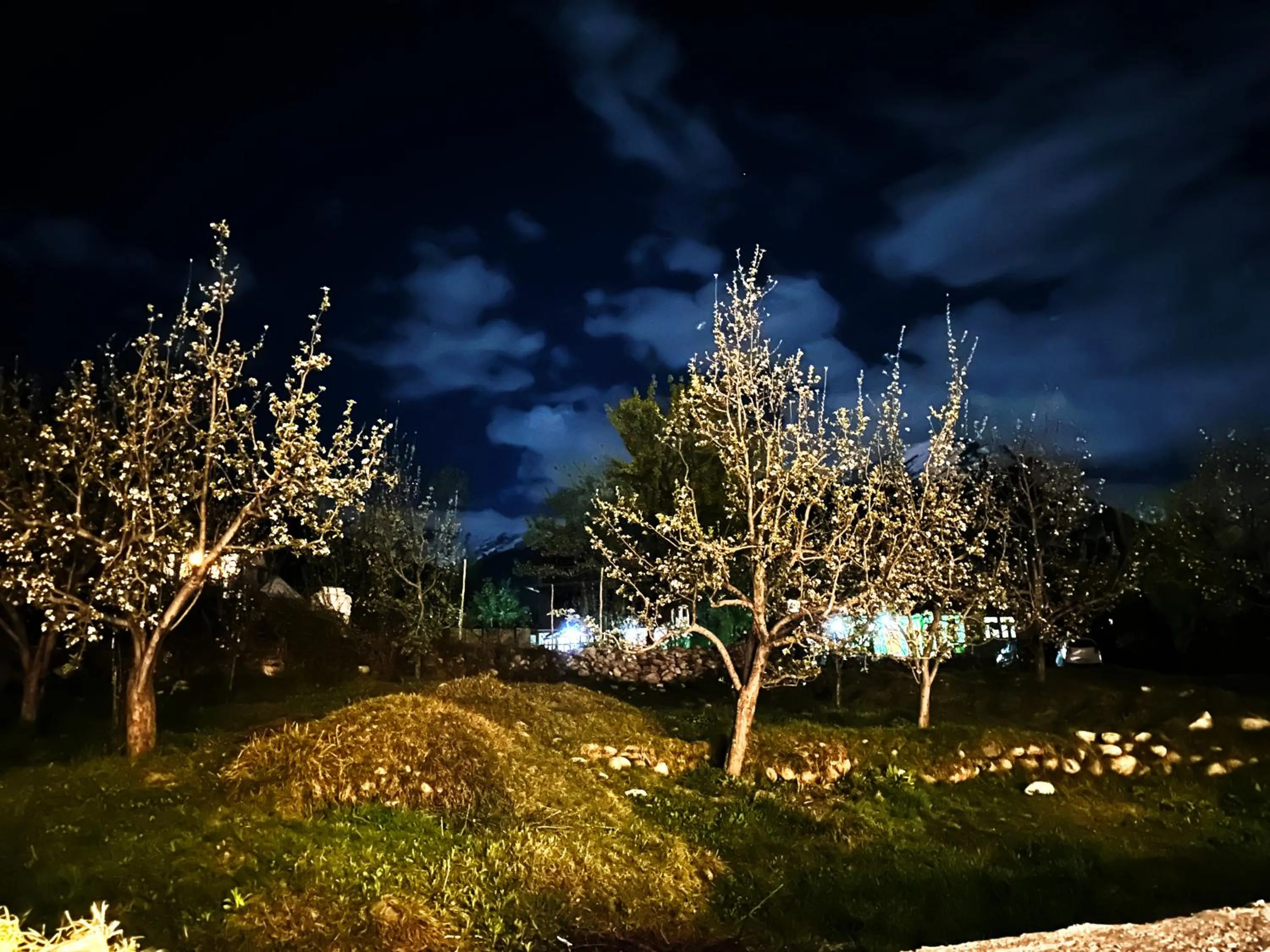 Night in Manali Outdoor Retreat by Sheosante