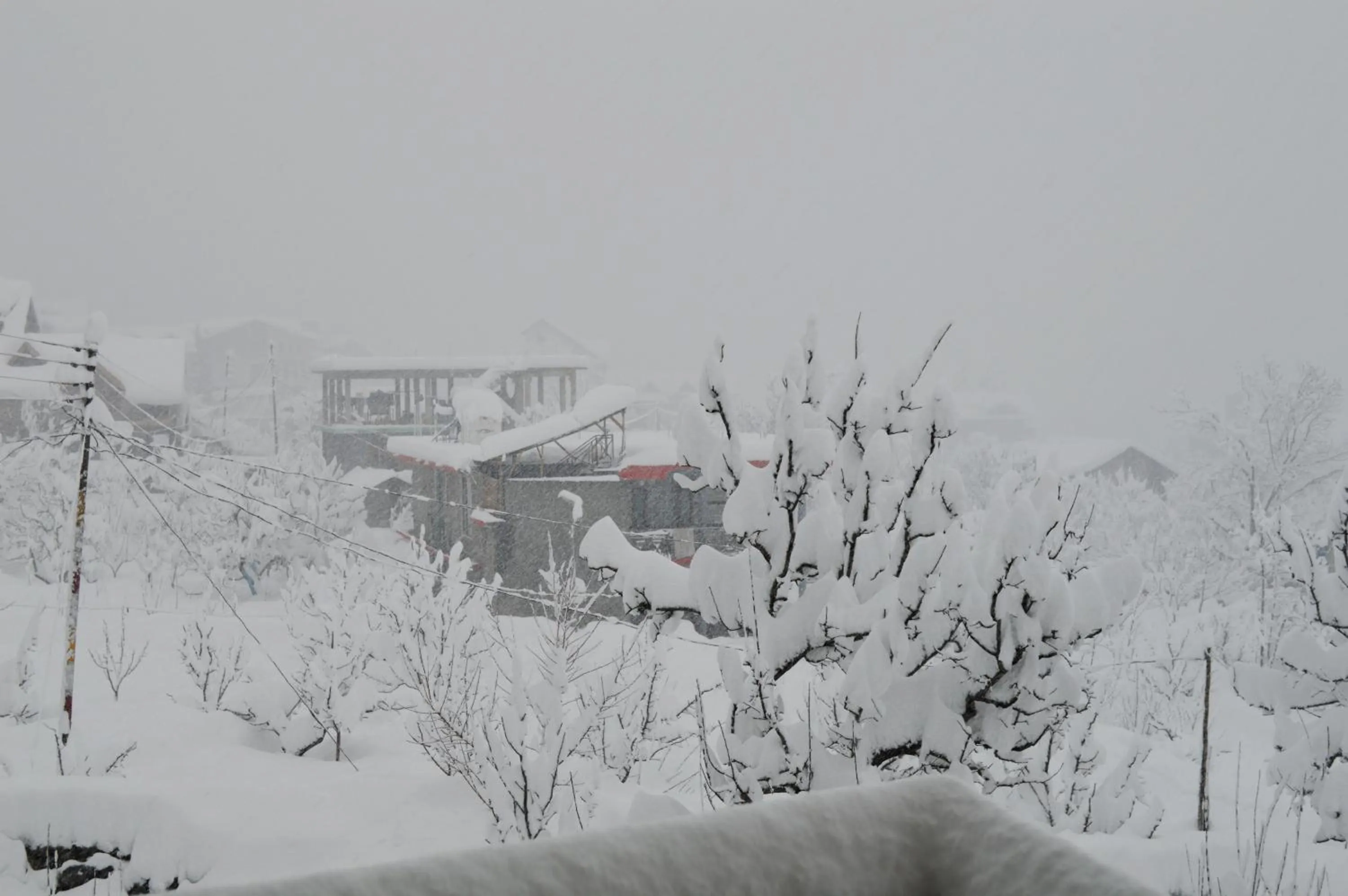 Natural landscape in Manali Outdoor Retreat by Sheosante
