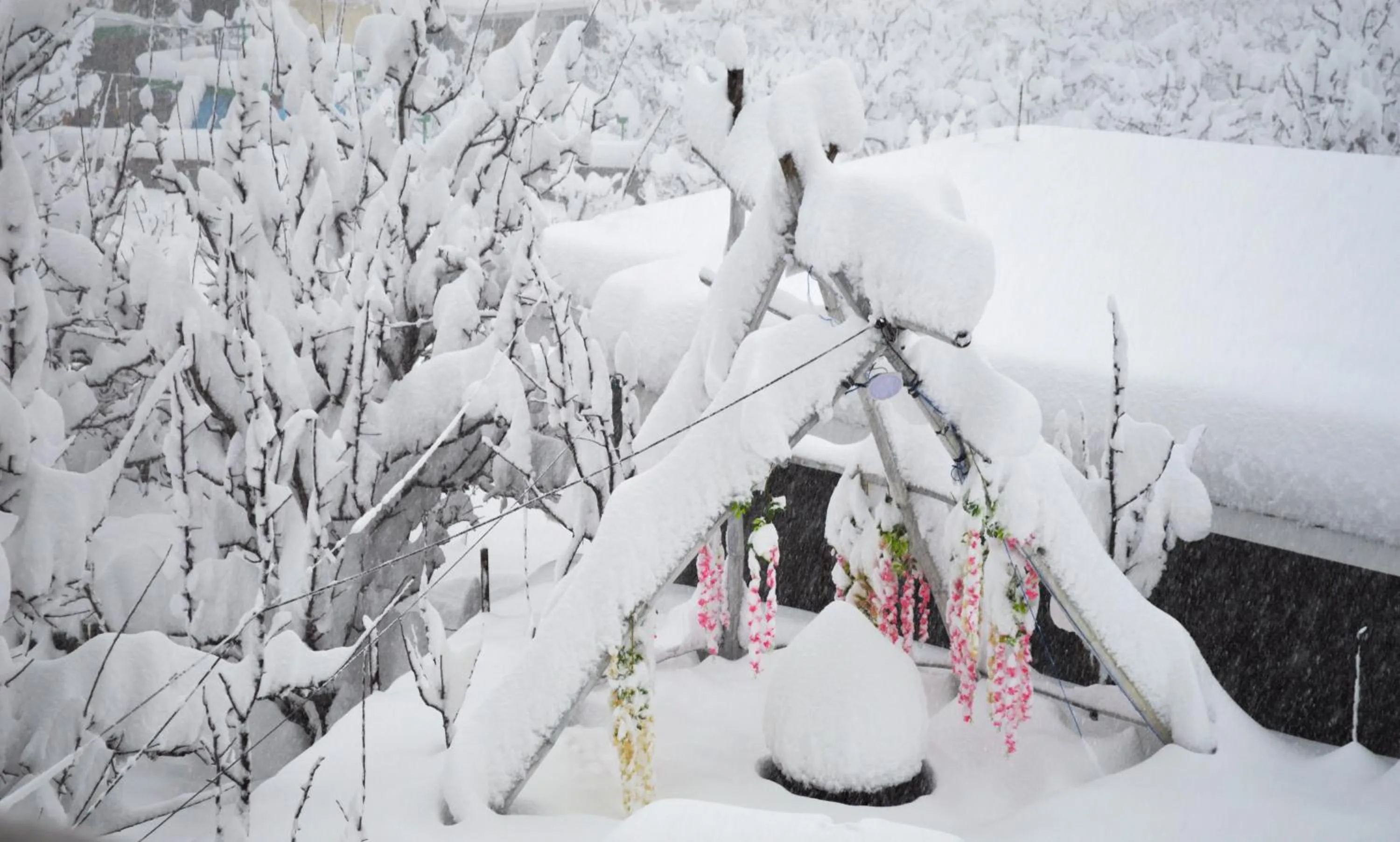 Day in Manali Outdoor Retreat by Sheosante