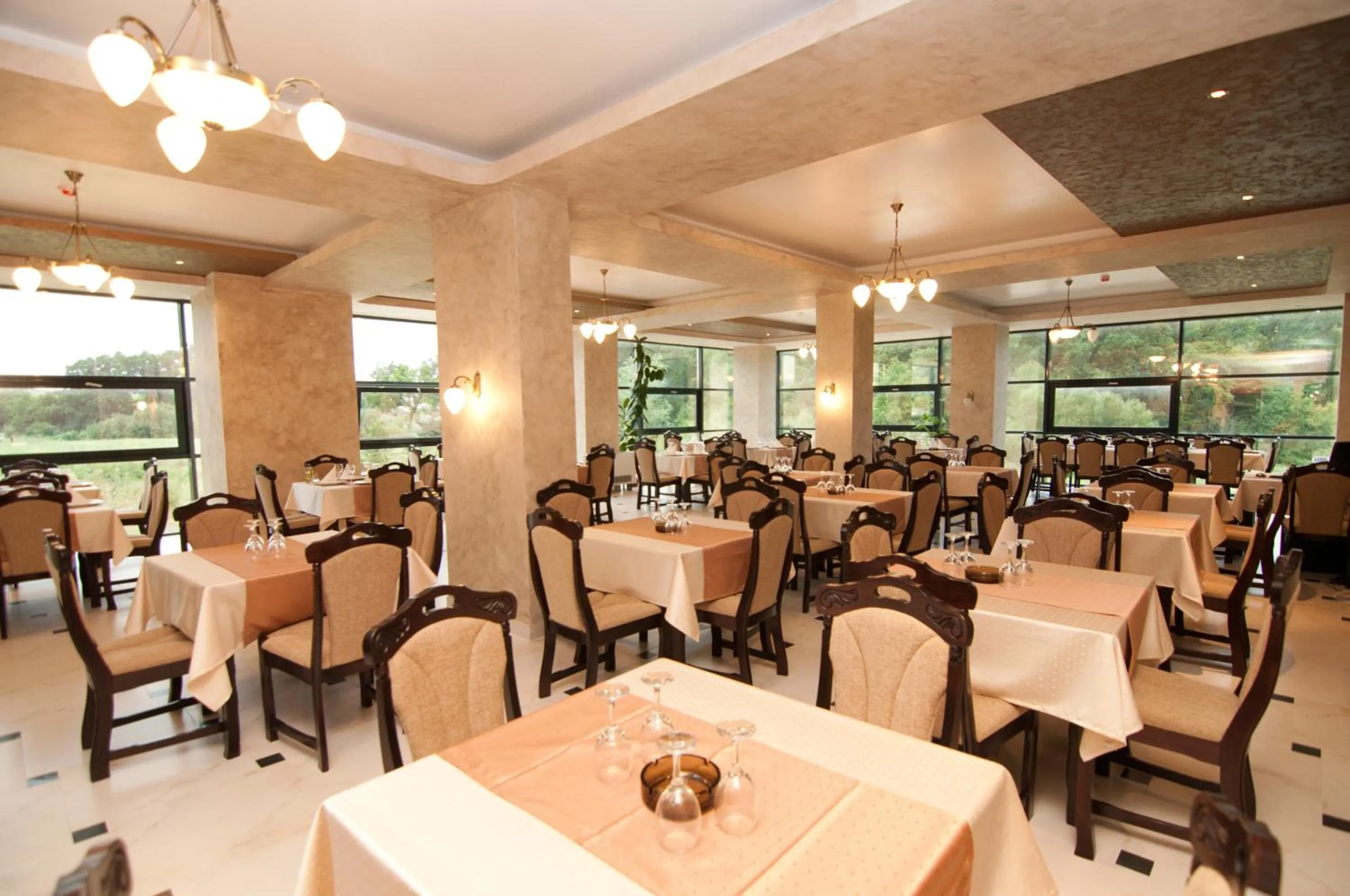 Restaurant/places to eat in Hotel Hyperion