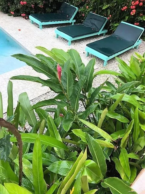 Swimming pool in Tobago Hibiscus Golf Villas & Appartments