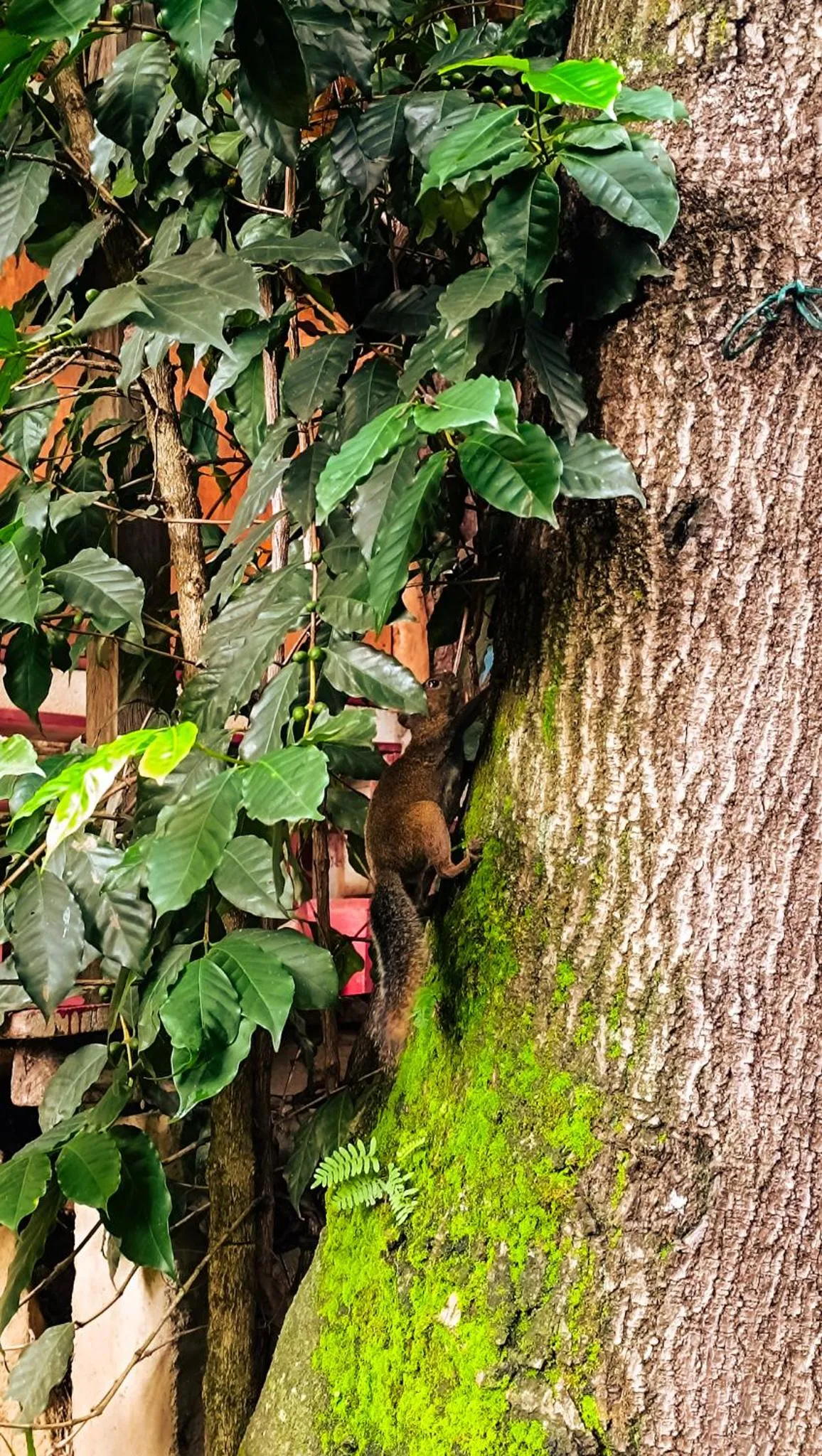Bird's eye view in Eco-Hotel Mayachik