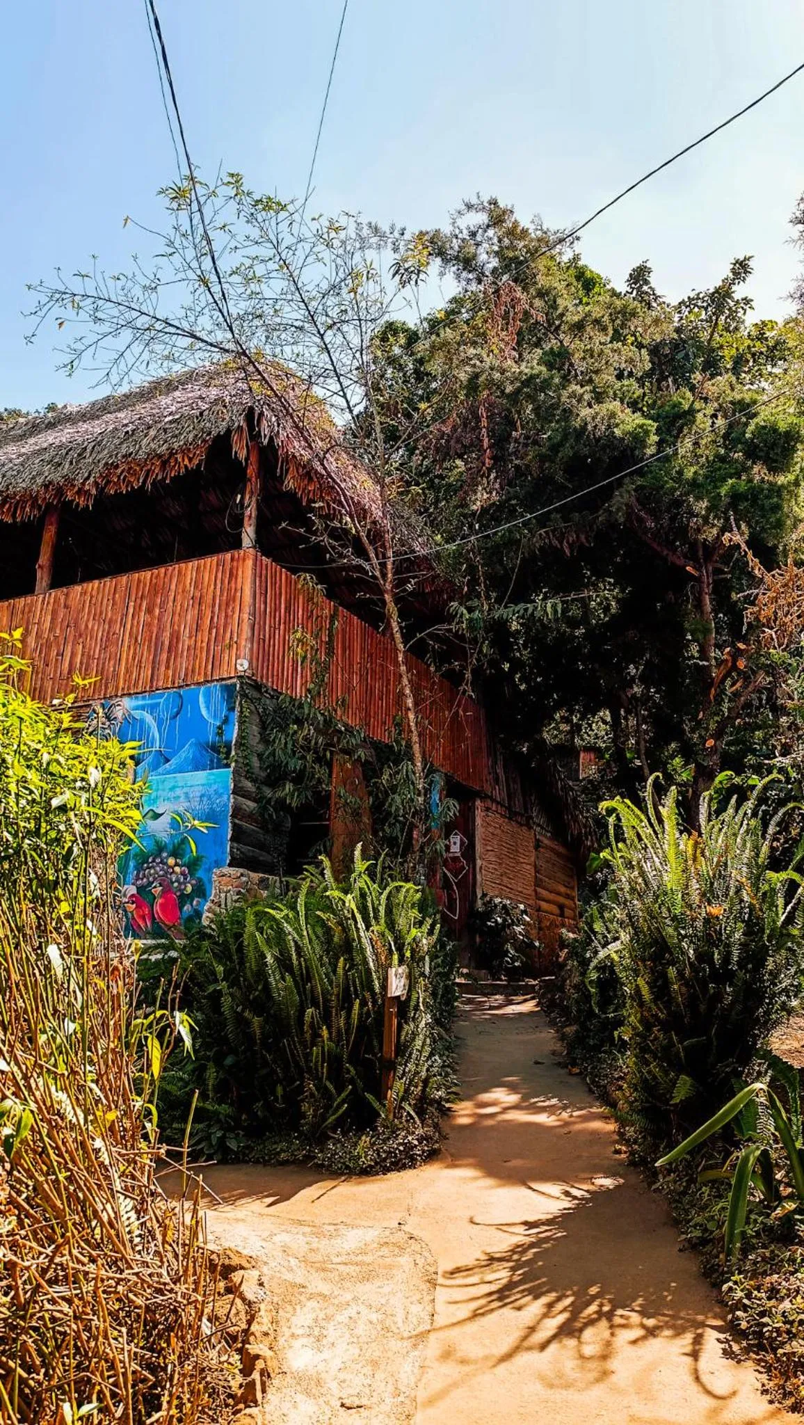 Lobby or reception in Eco-Hotel Mayachik