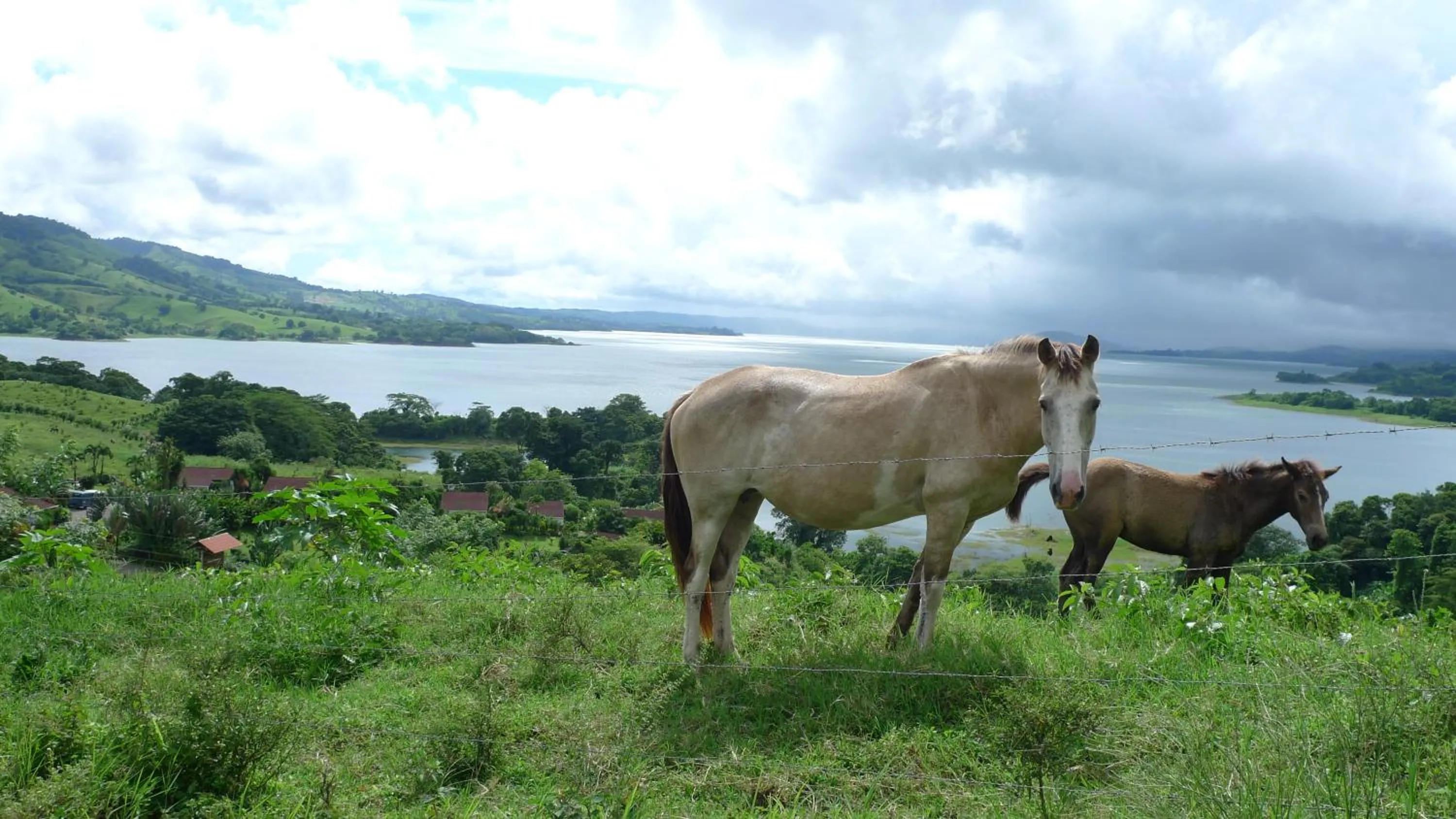 Horse-riding in Hotel La Mansion Inn Arenal