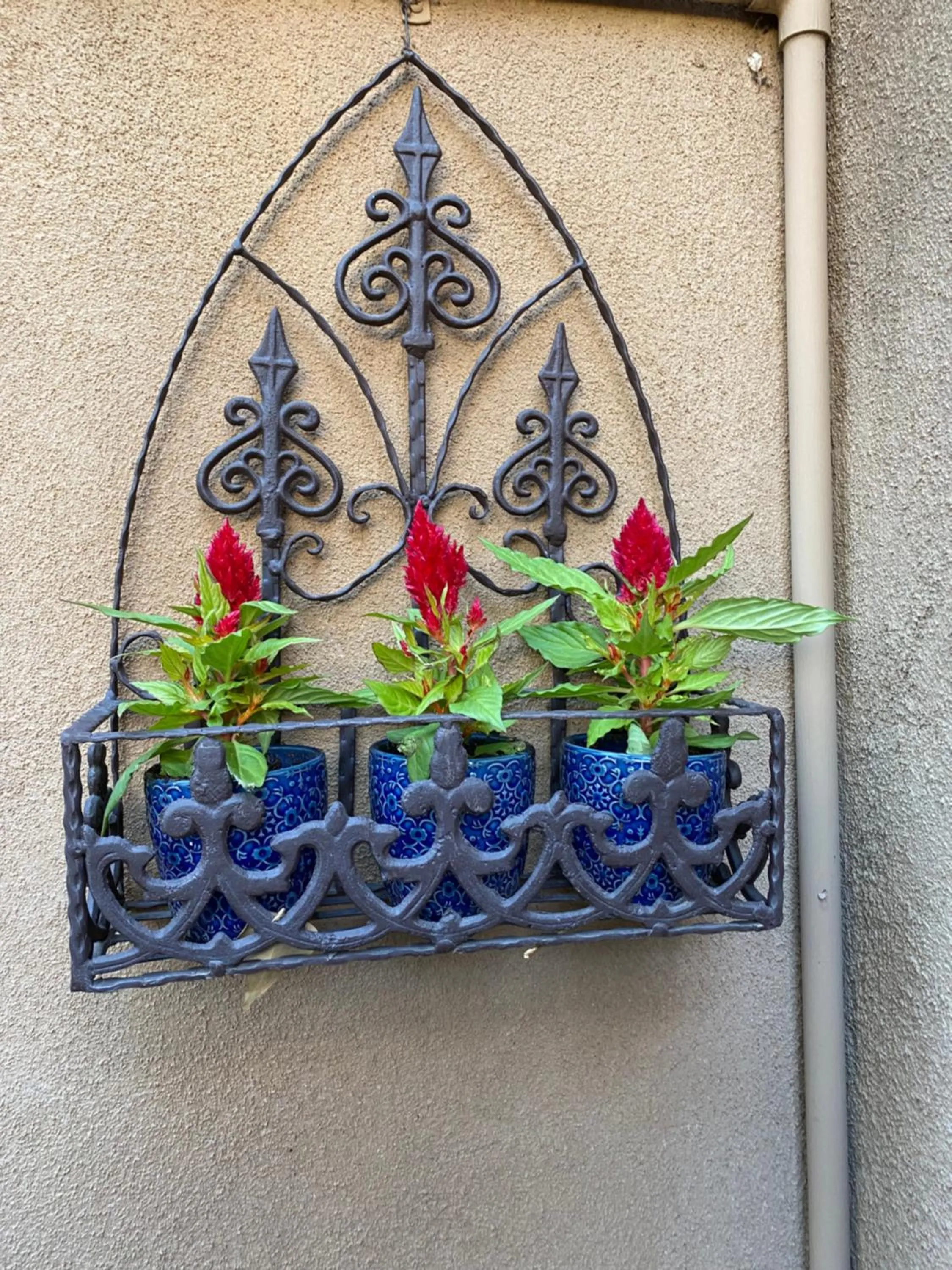 Inner courtyard view in Casa de Tres Lunas/House of Three Moons