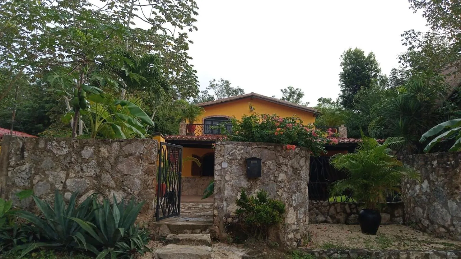 Casa Mango