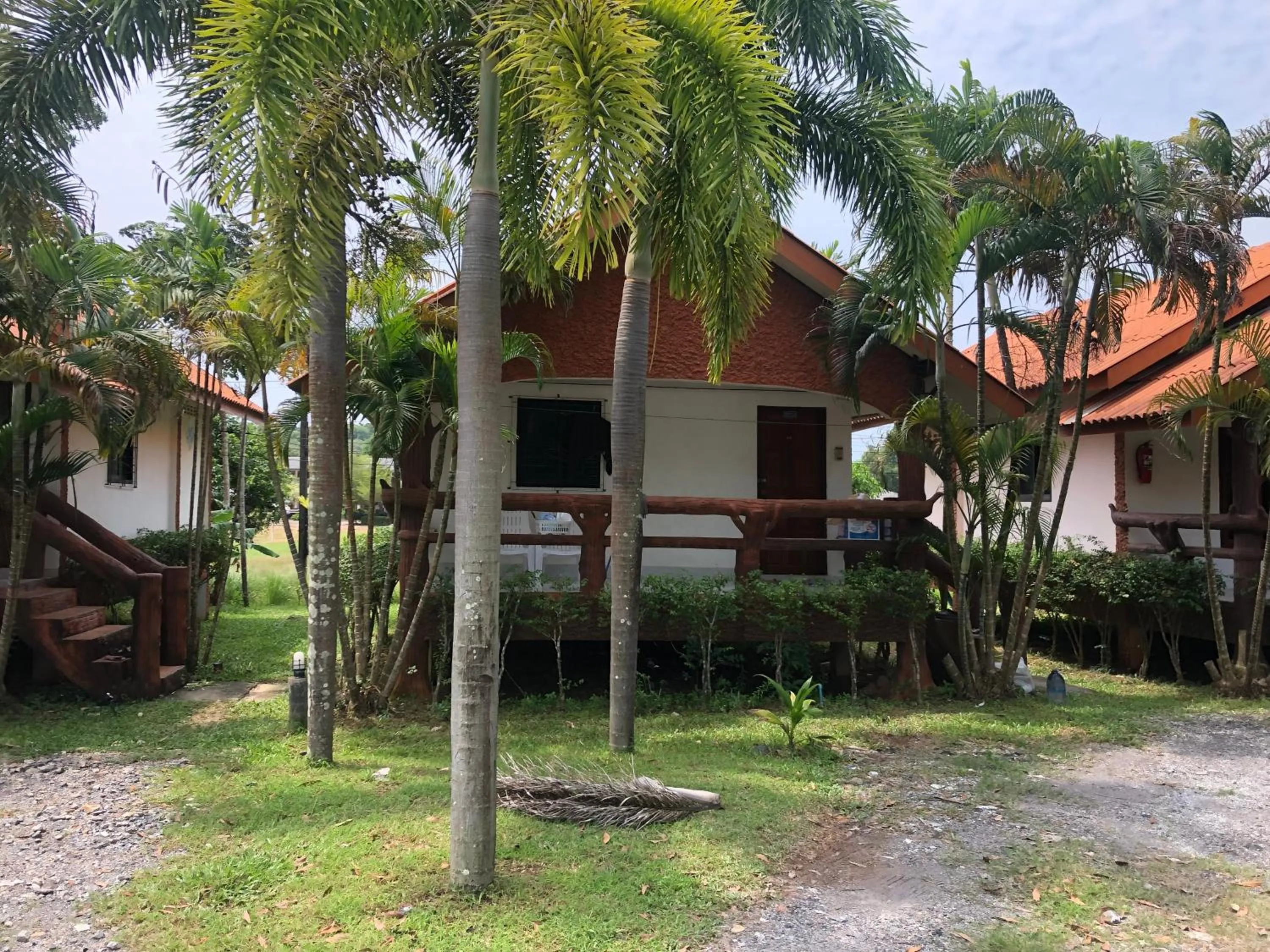 Garden view in Lanta School Beach Resort