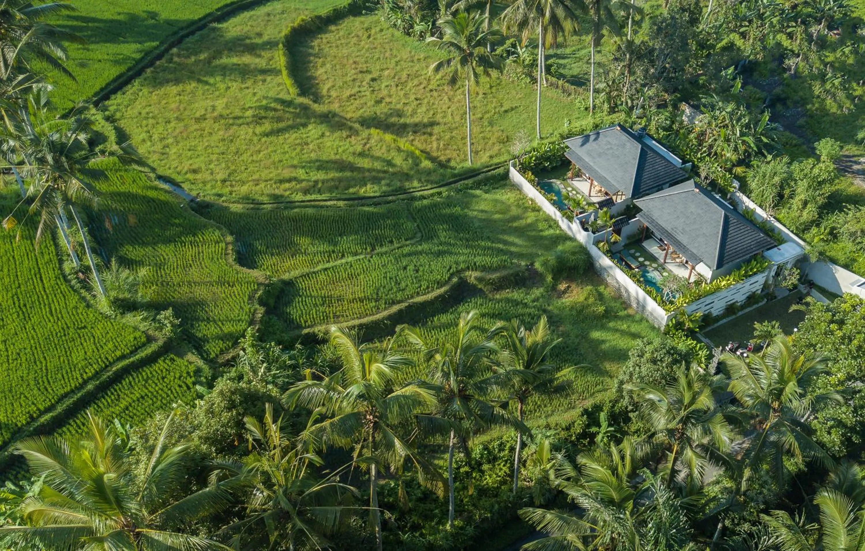 View (from property/room) in Arvanya Villa Ubud