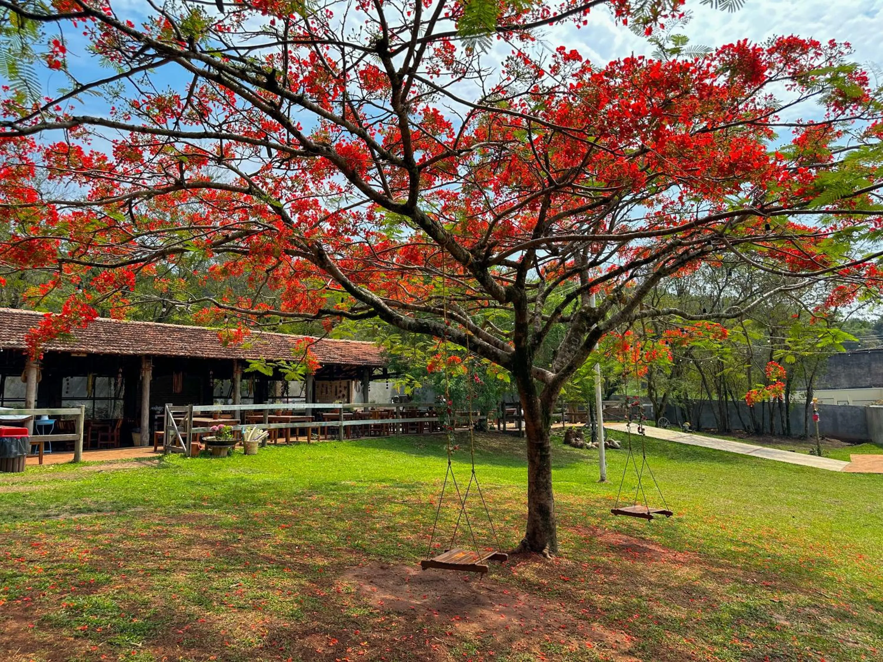 Lounge or bar in Resort Fazenda Sao João