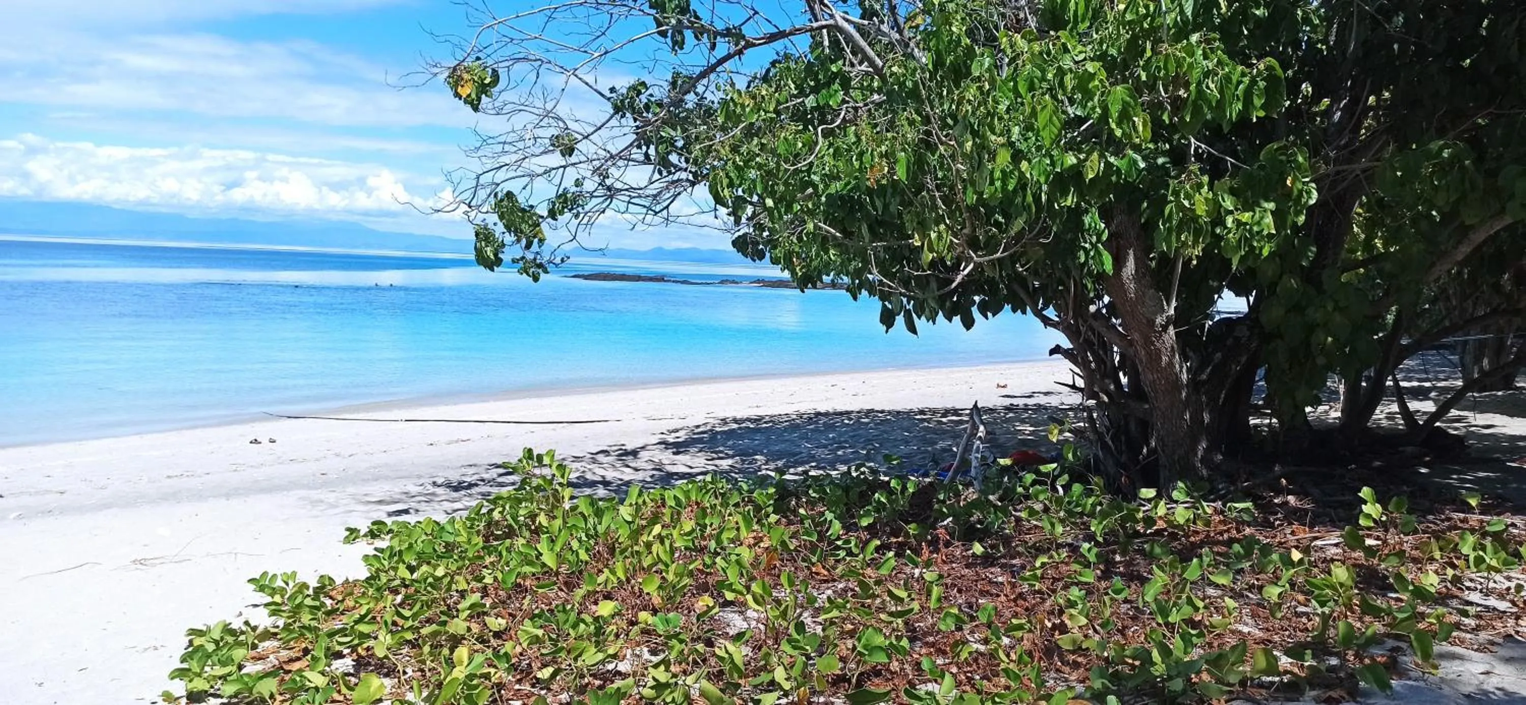 Beach in Blue Sky Resort