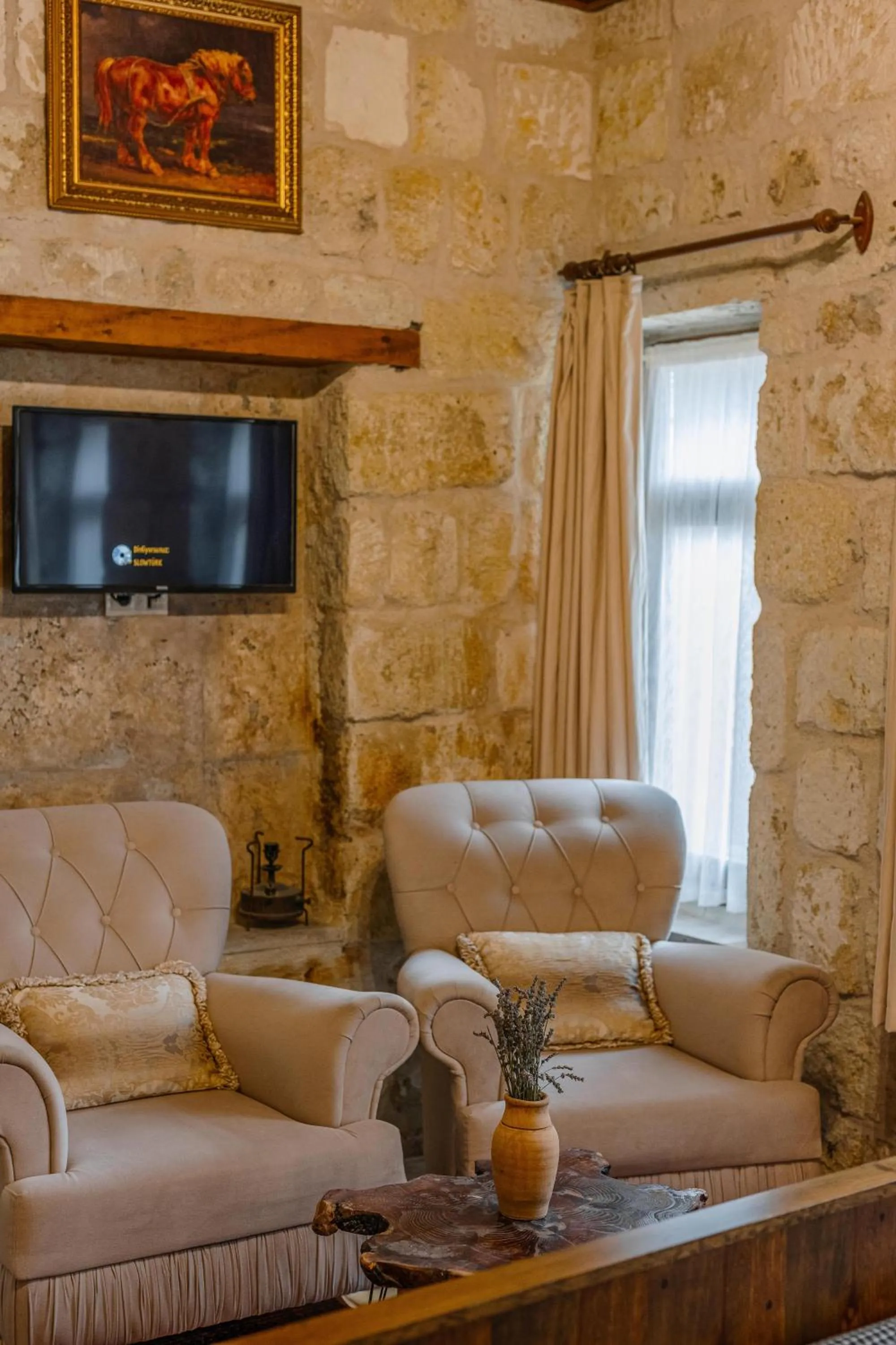 TV and multimedia in Belenus Cave House