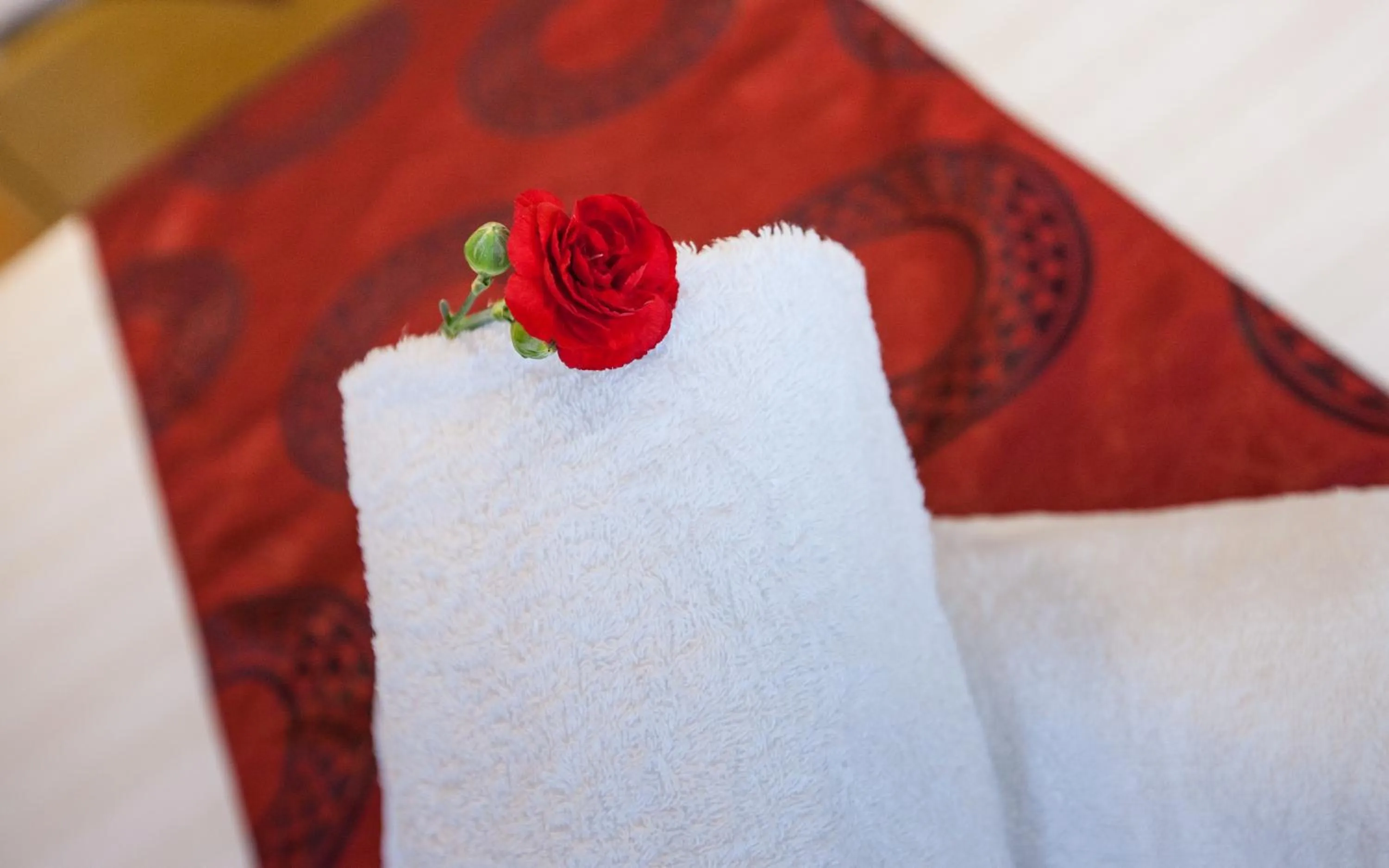 Property logo or sign in Ailen Garden 2 Hotel