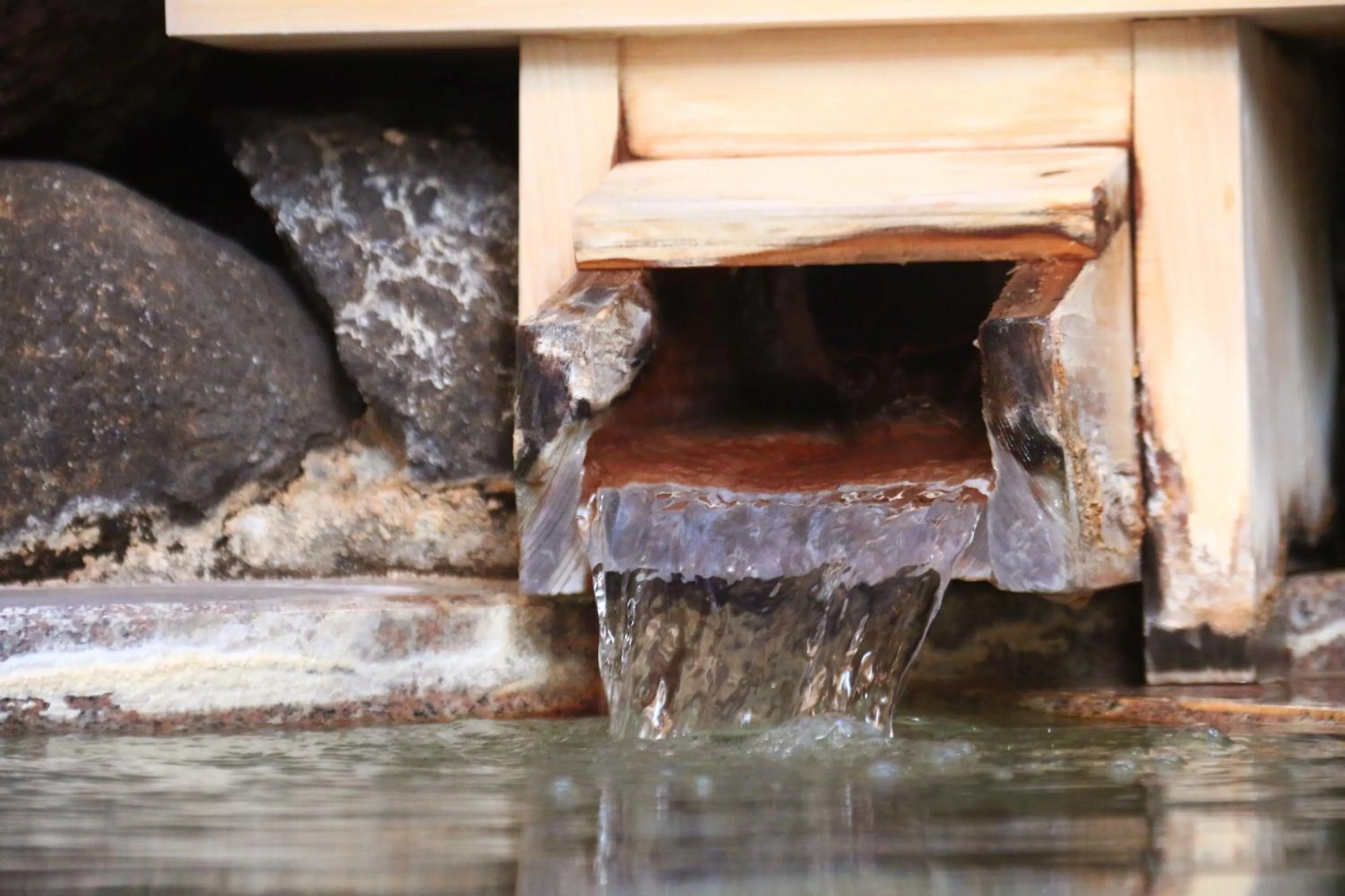 Hot Spring Bath in Nishiki-no-Yu Jimotoya