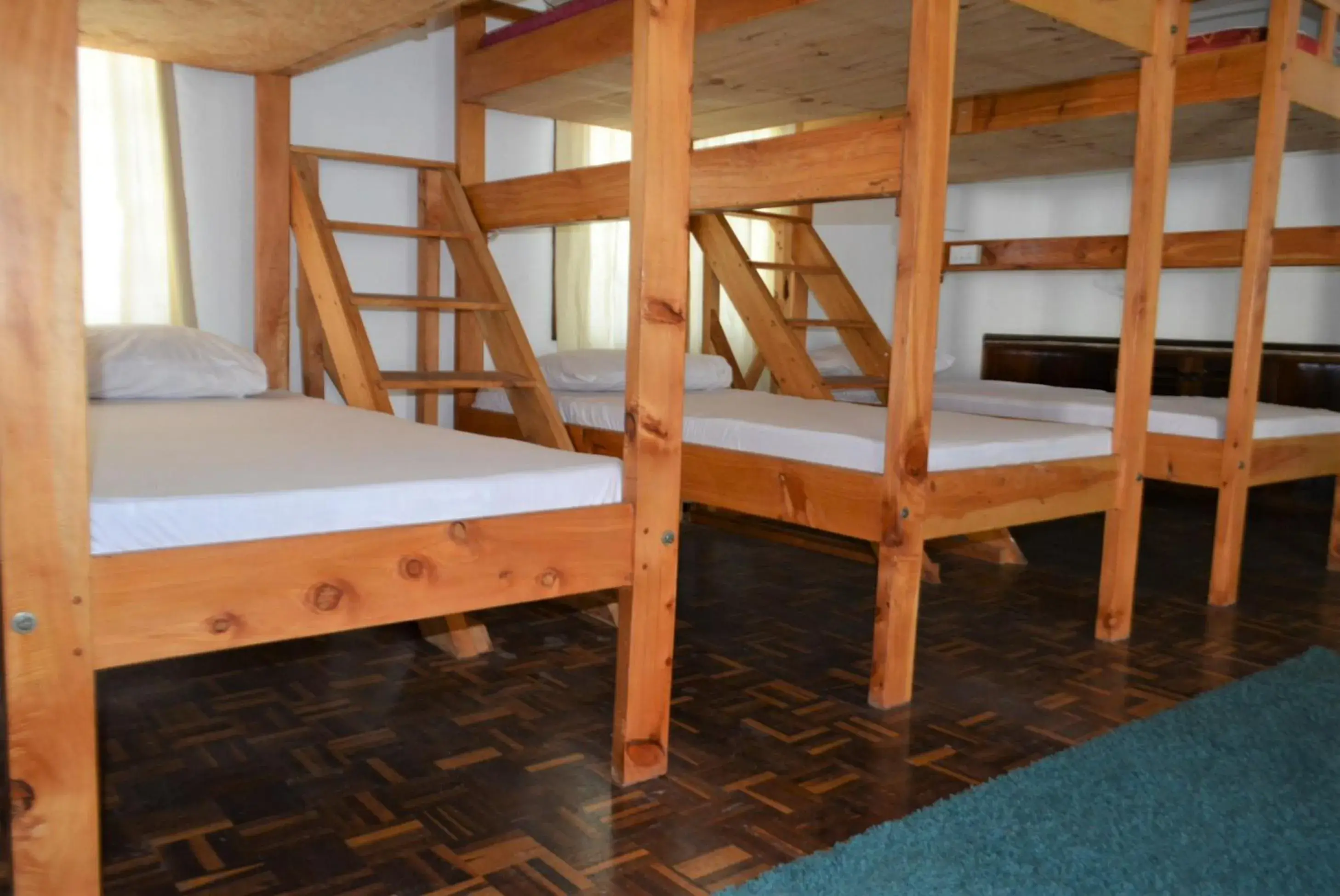 Bunk Bed in Female Dormitory Room in Tulia House Backpackers Bunk Bed in Female Dormitory Room in Tulia House Backpackers