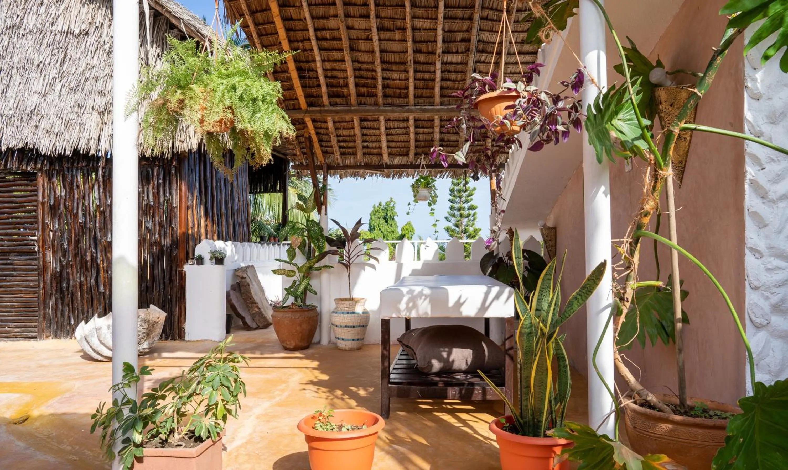 Property building in Tulia House Backpackers