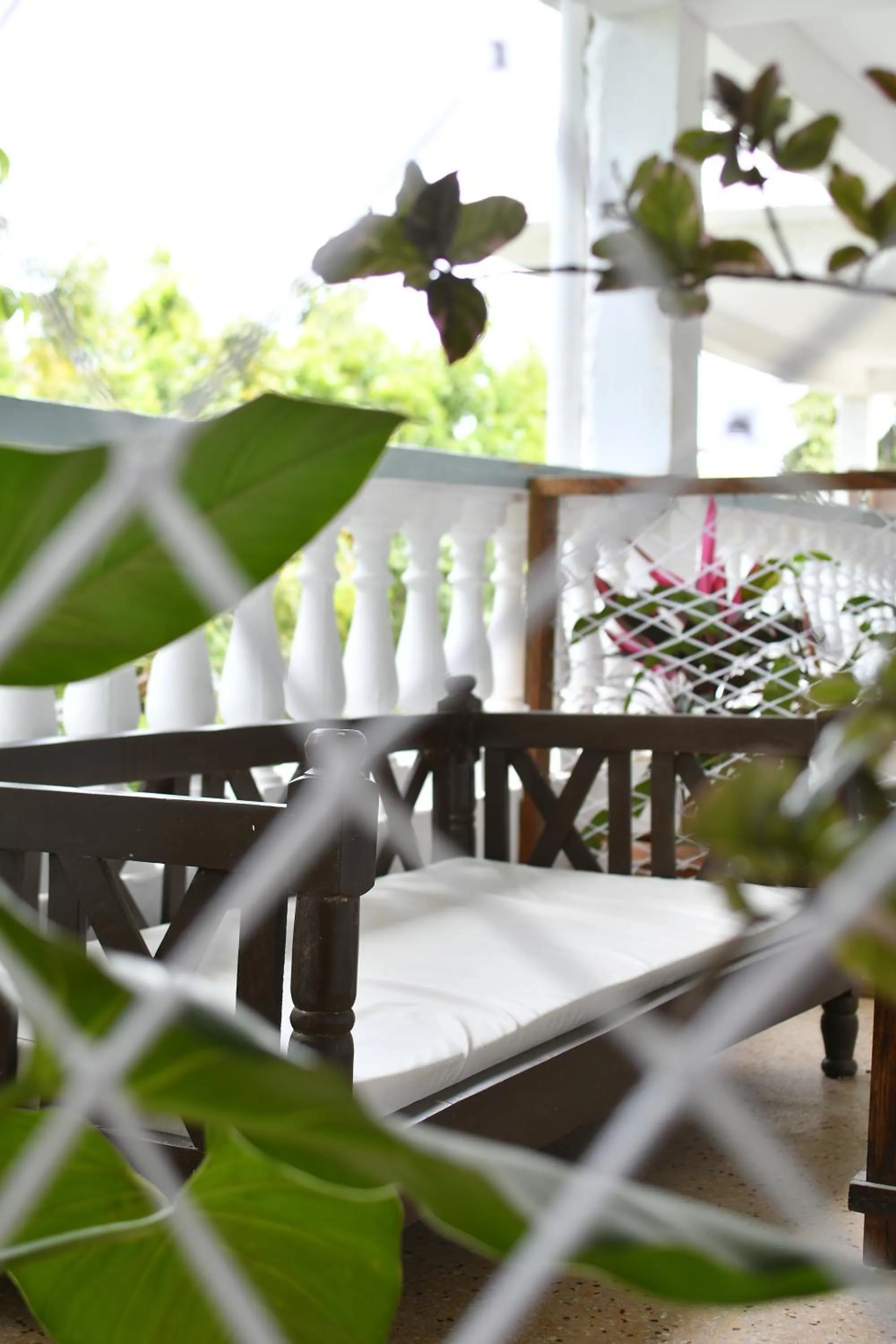 Tulia House Backpackers