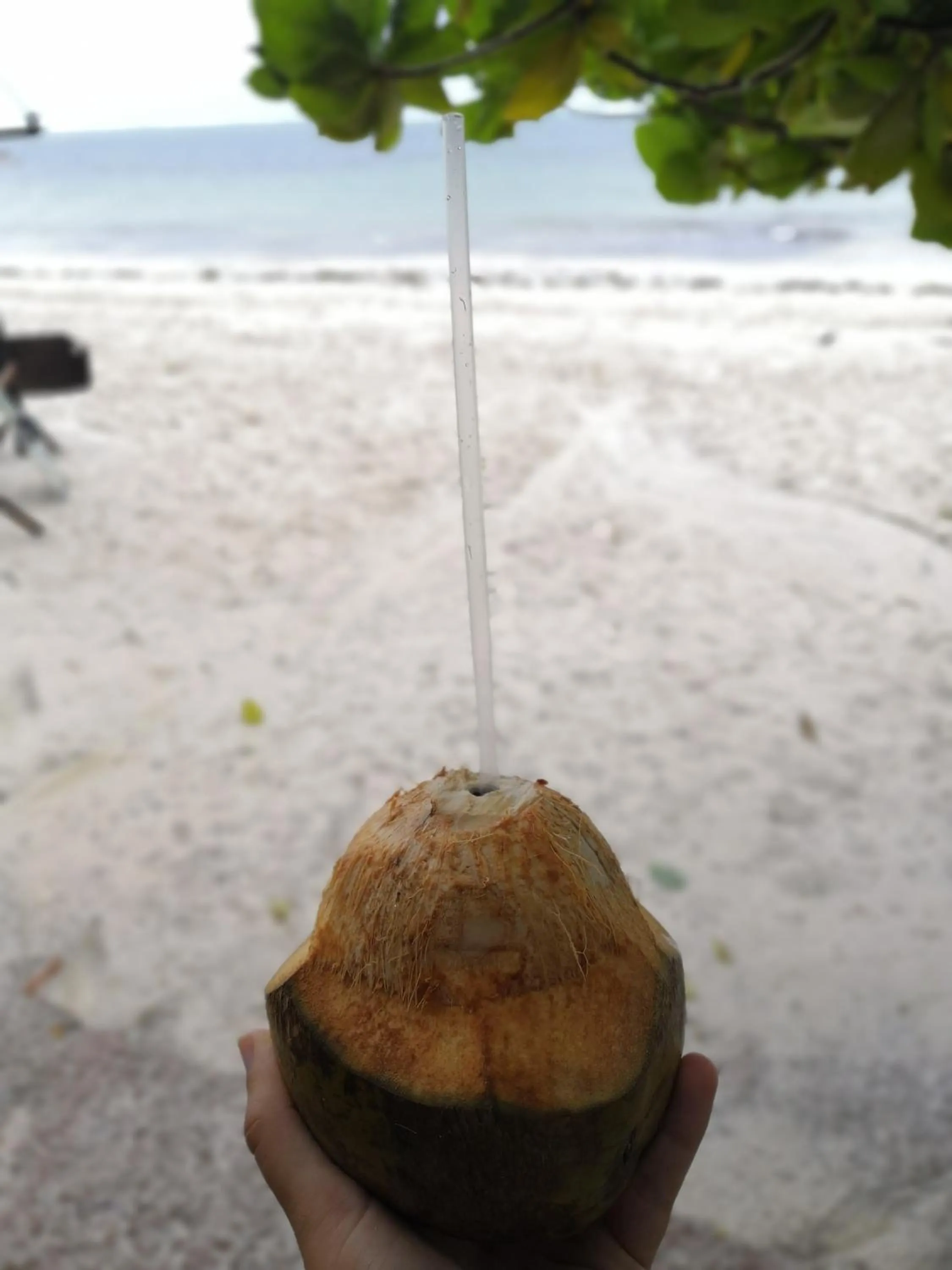 Food and drinks in Tulia House Backpackers