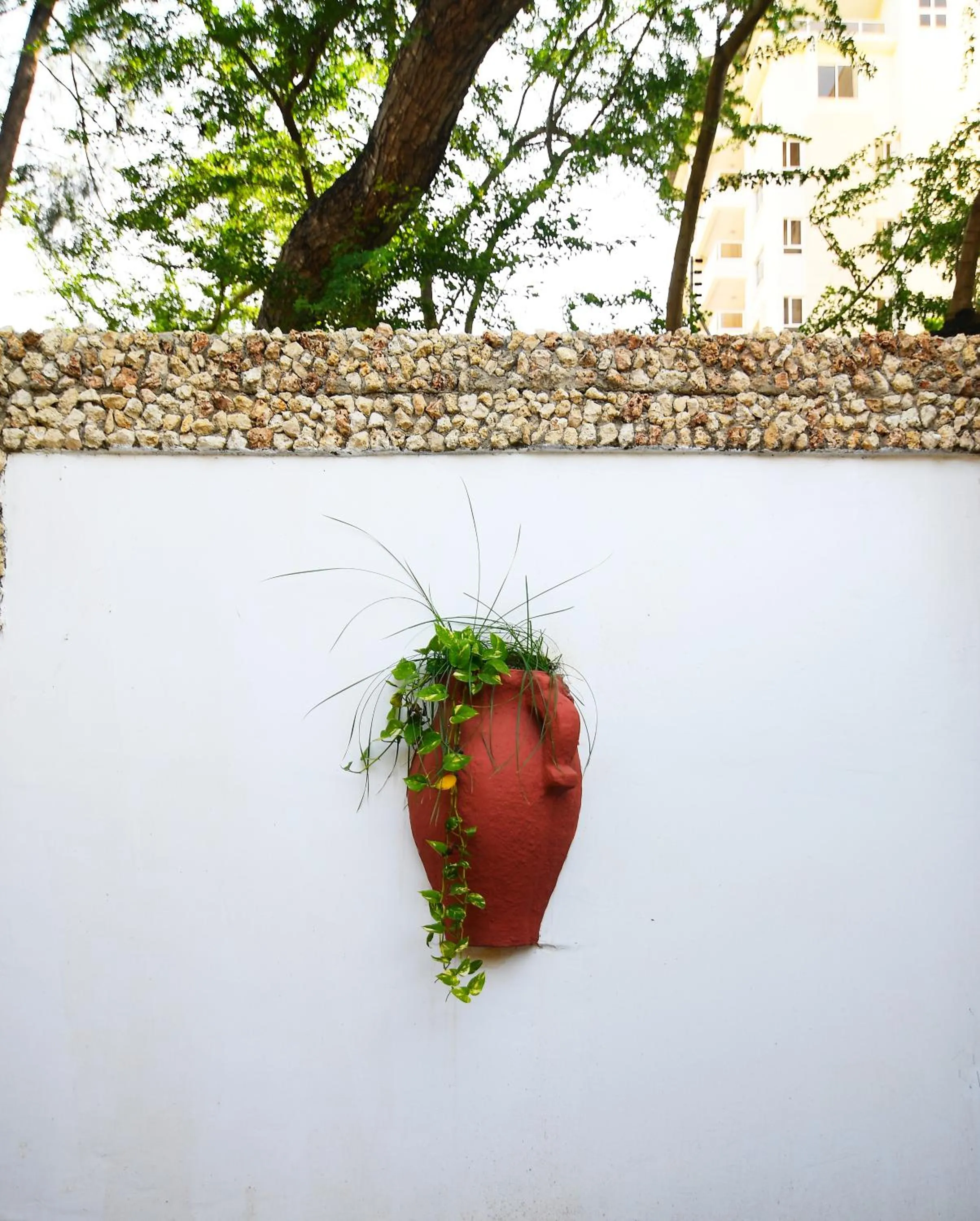 Decorative detail in Tulia House Backpackers