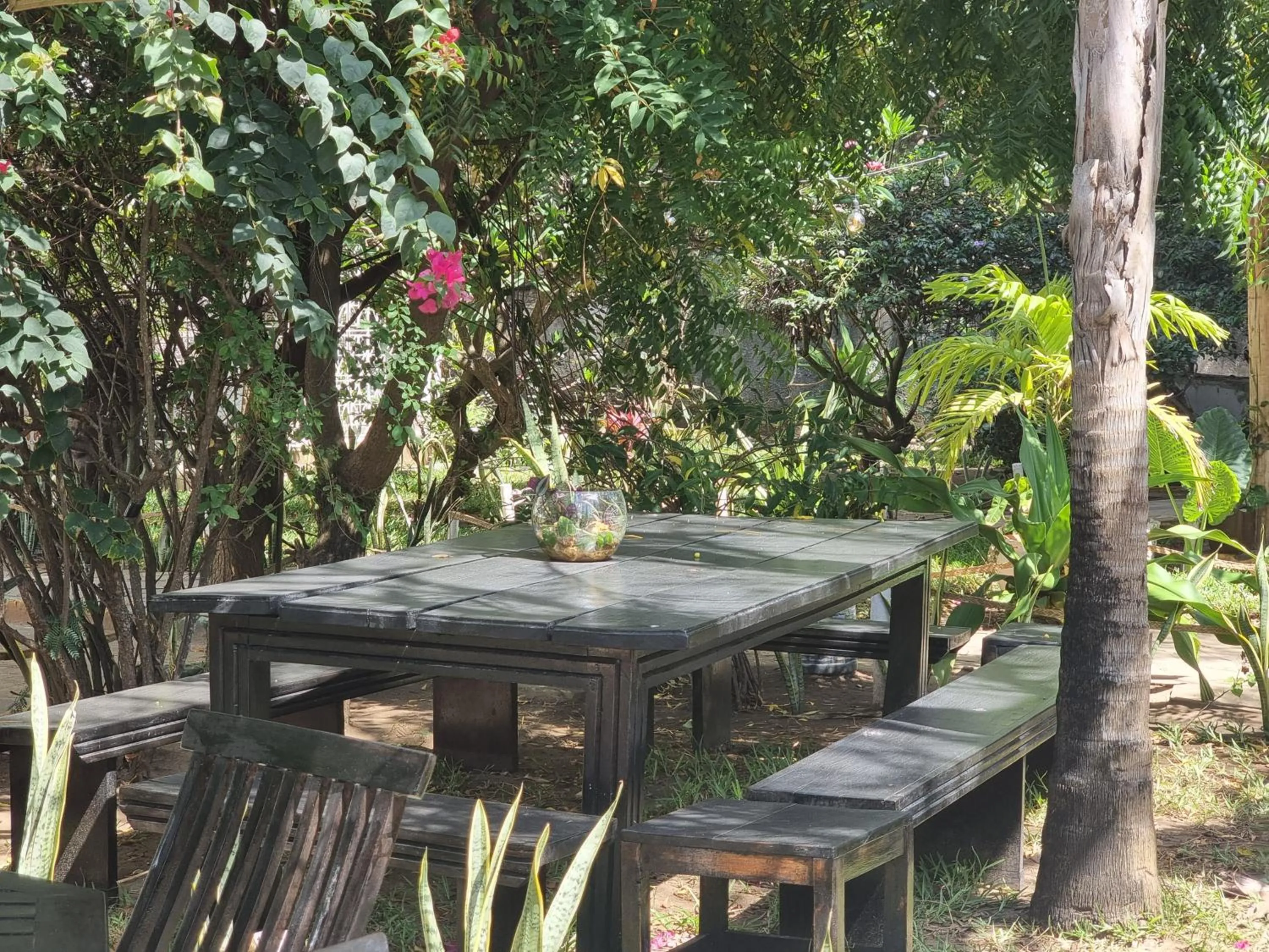 Tulia House Backpackers