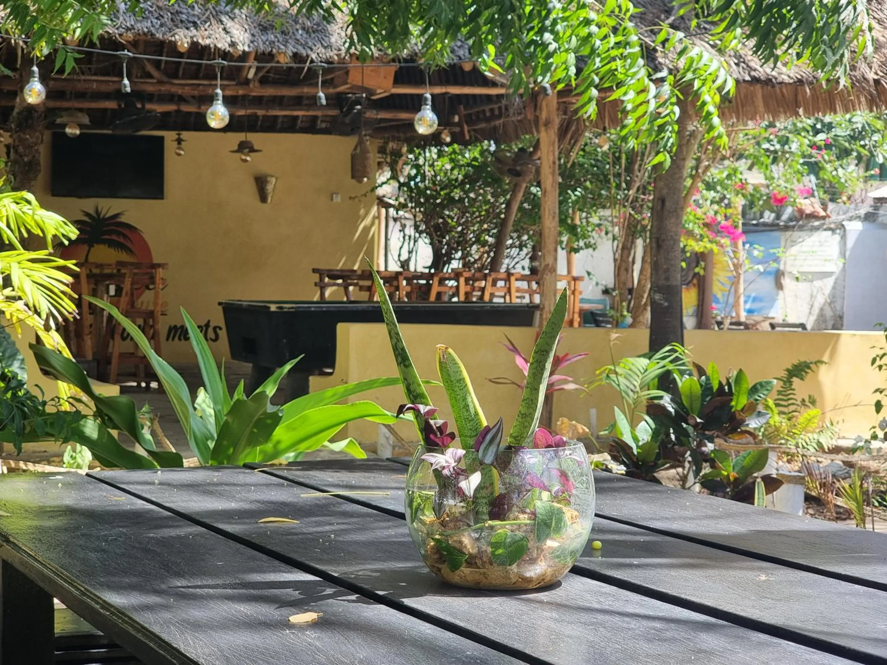 Tulia House Backpackers