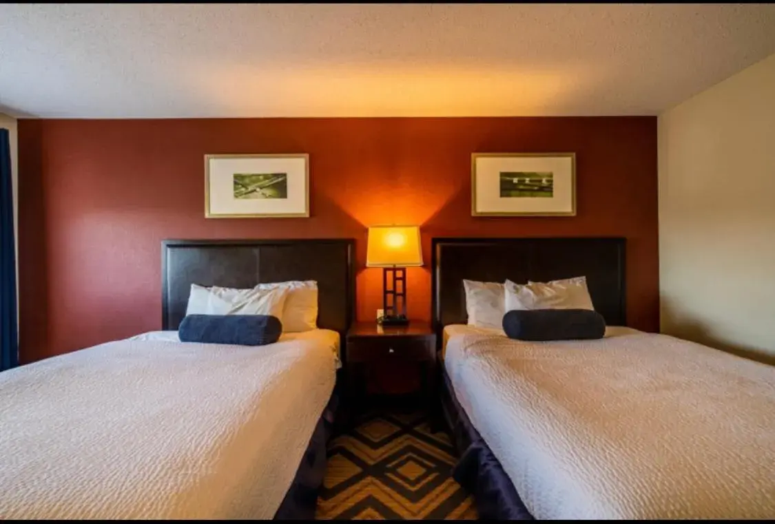 Queen Room - Disability Access in The Patch Lodge Queen Room - Disability Access in The Patch Lodge