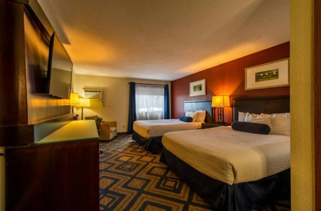 Bed in The Patch Lodge