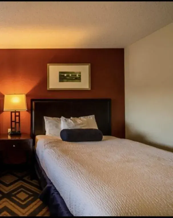 Queen Studio in The Patch Lodge Queen Studio in The Patch Lodge