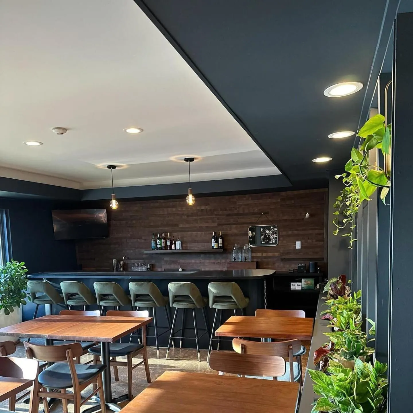 Lounge or bar in The Darby