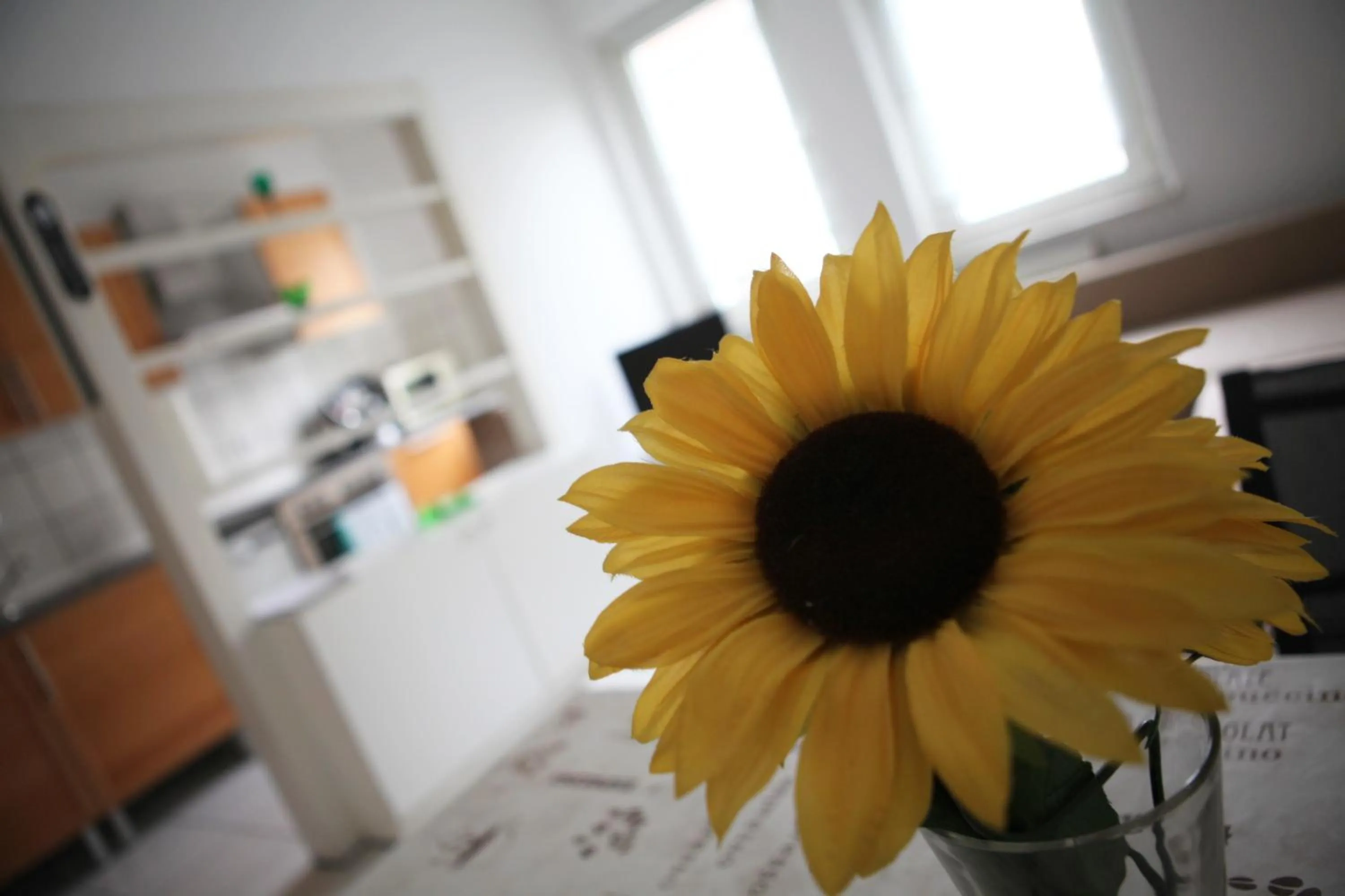 Photo of the whole room in White House Bochum Ehrenfeld