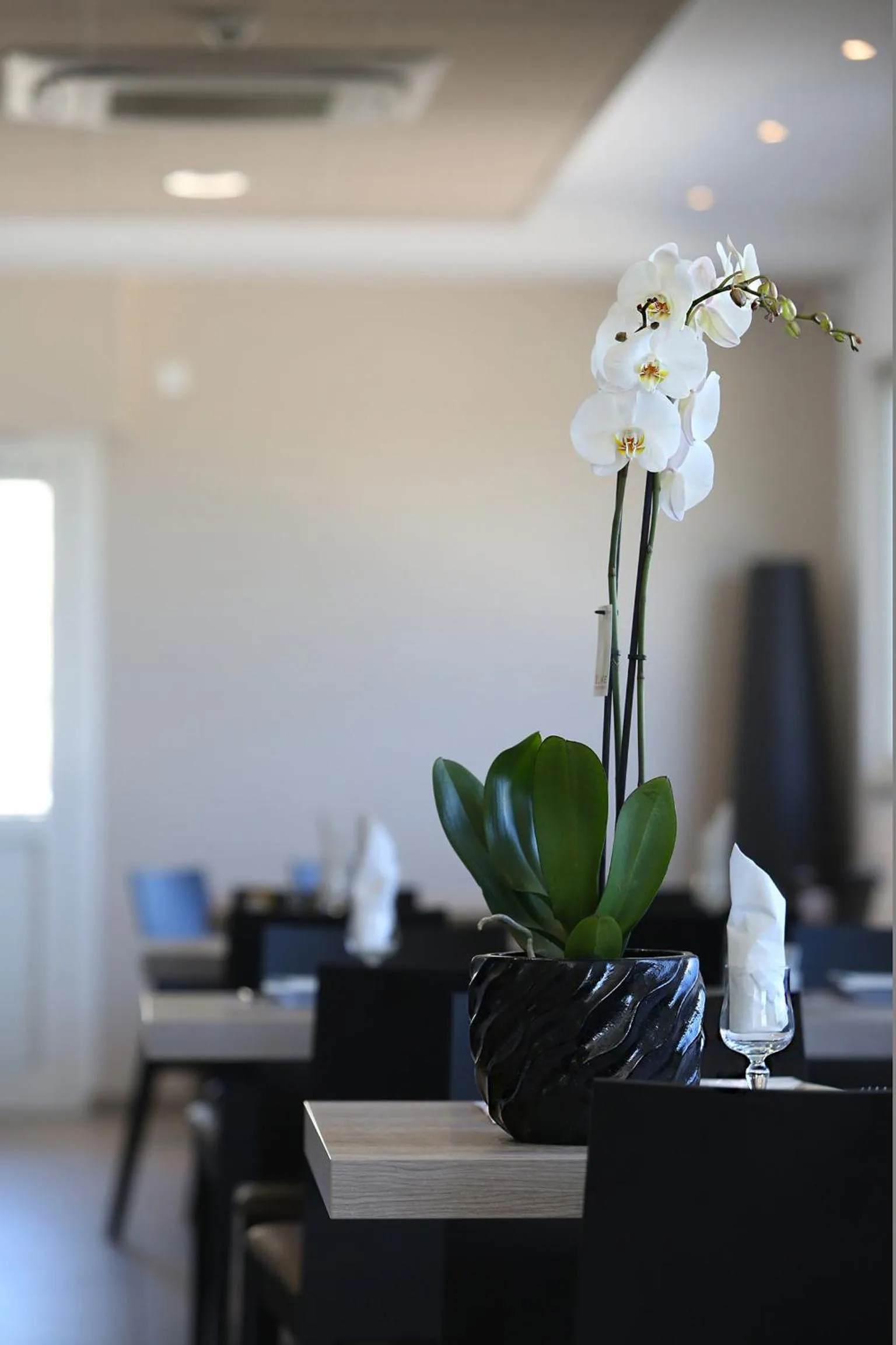 Lounge or bar in Hôtel Restaurant les Pielettes