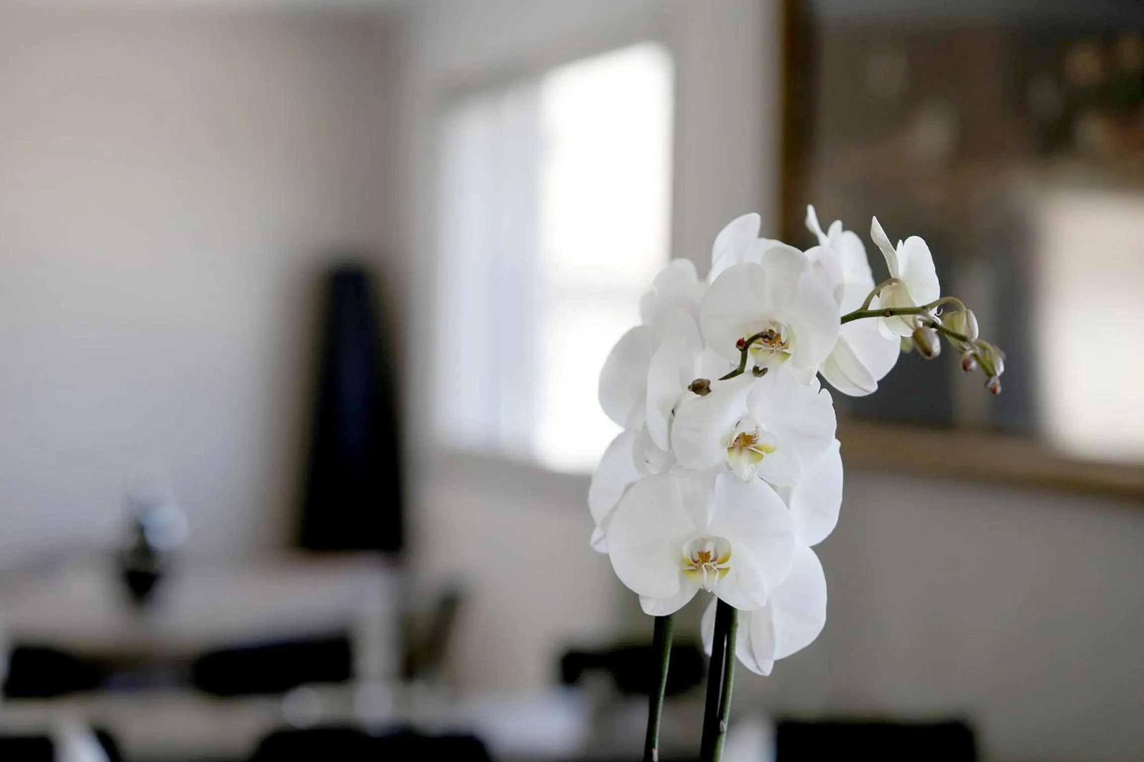 Lounge or bar in Hôtel Restaurant les Pielettes