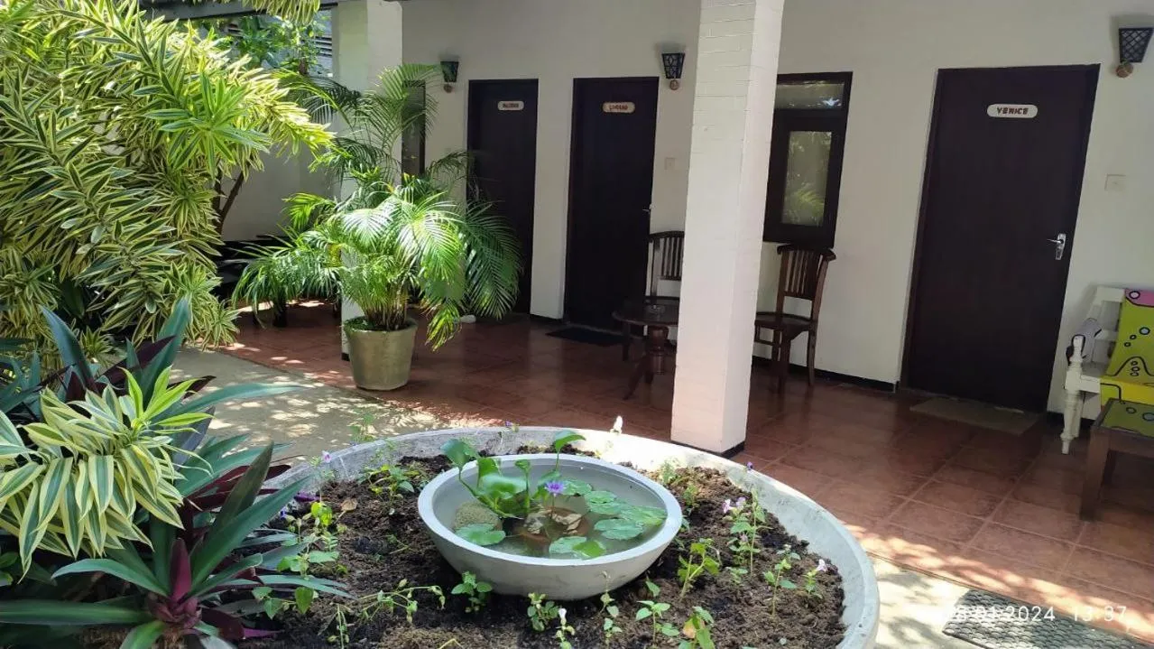 Photo of the whole room in Full Moon Resort