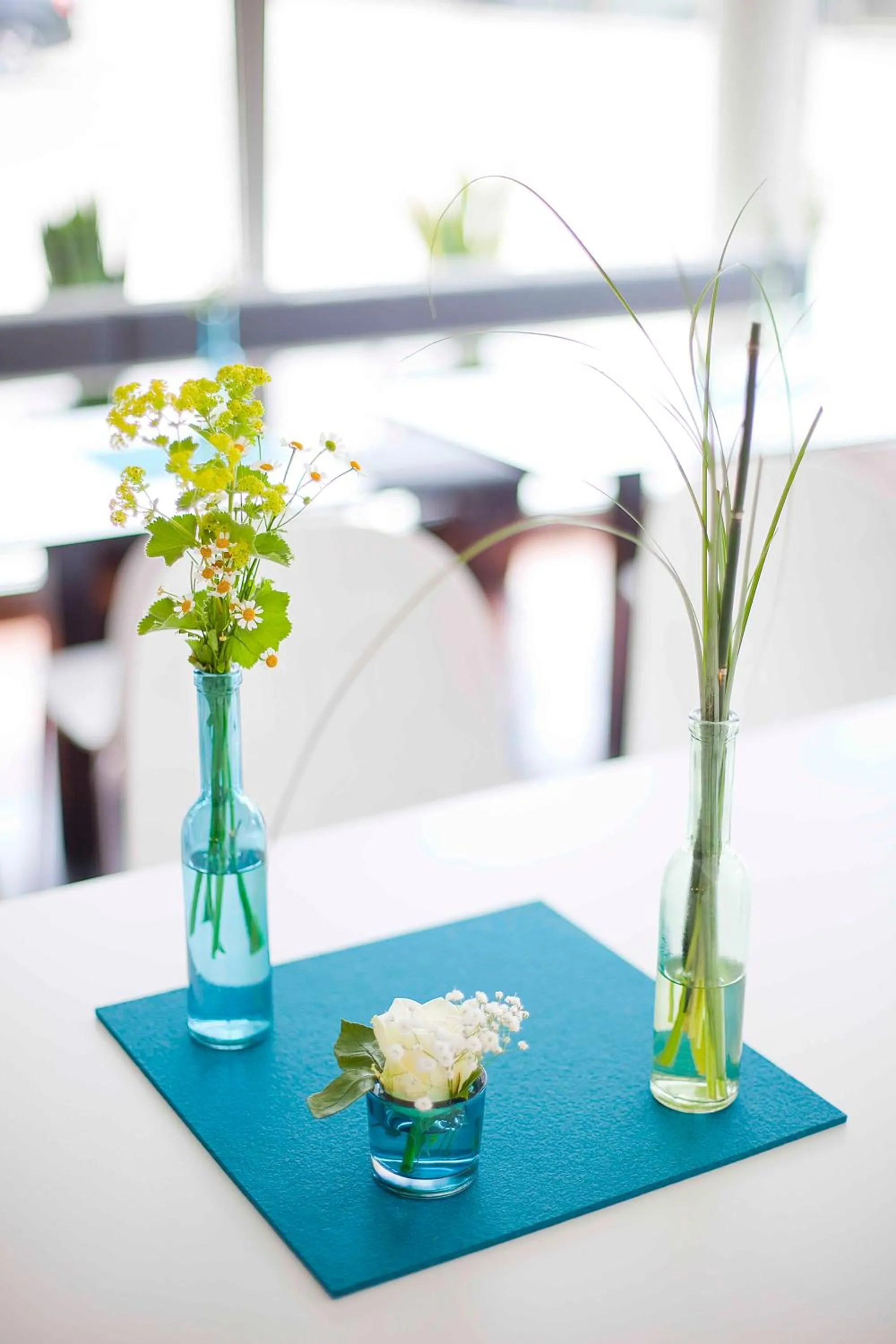 Spring in Sebcity Hotel