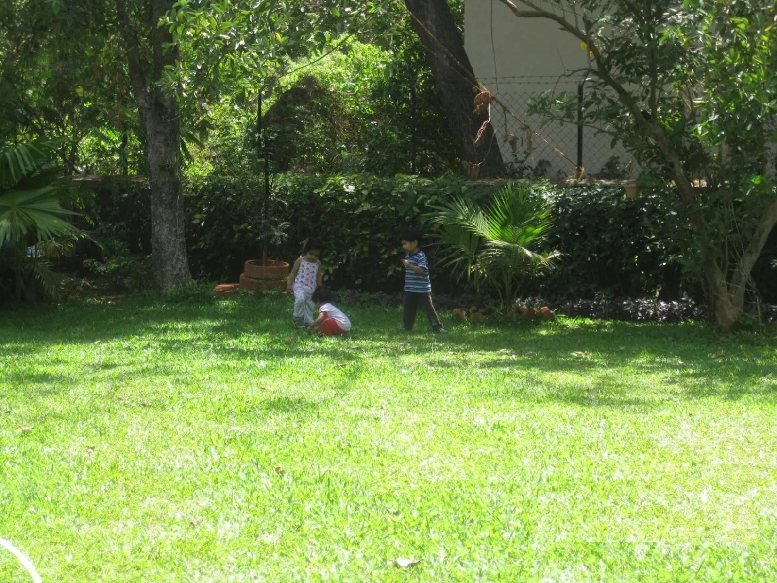 Garden in Hotel Ferreira Resort