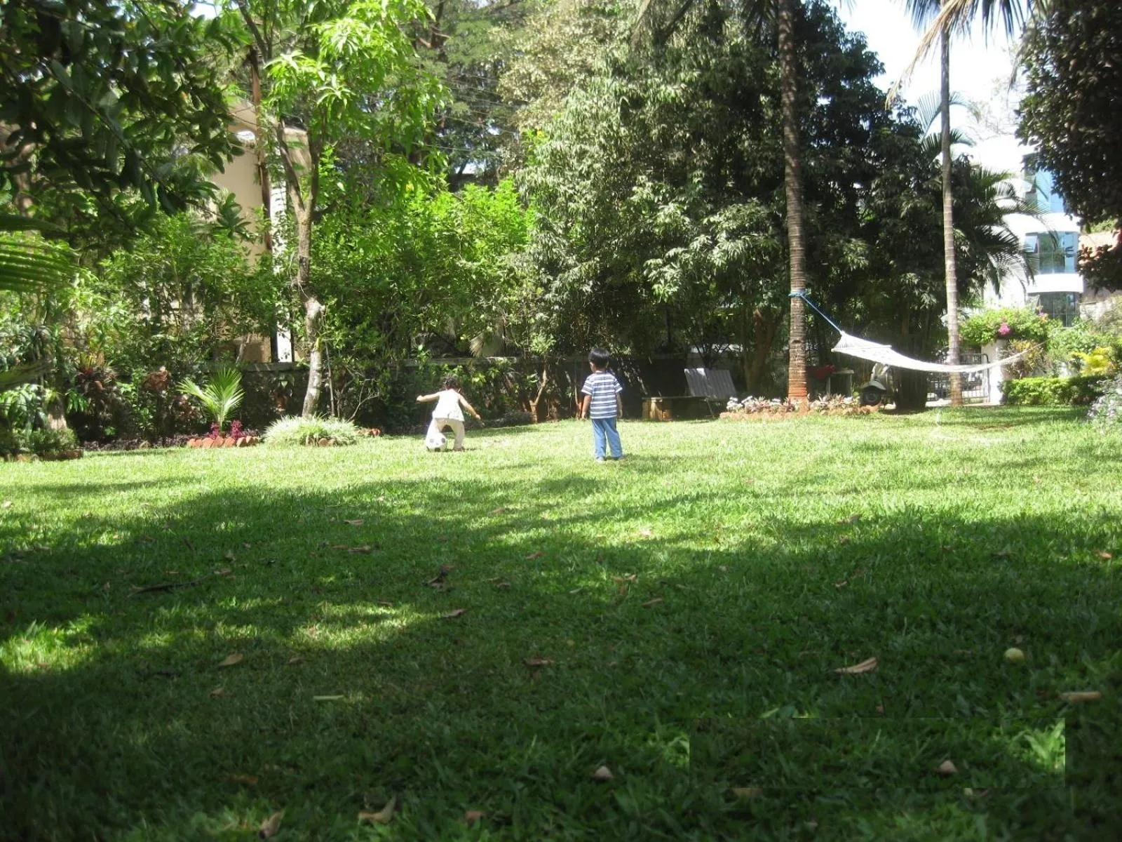 Area and facilities in Hotel Ferreira Resort