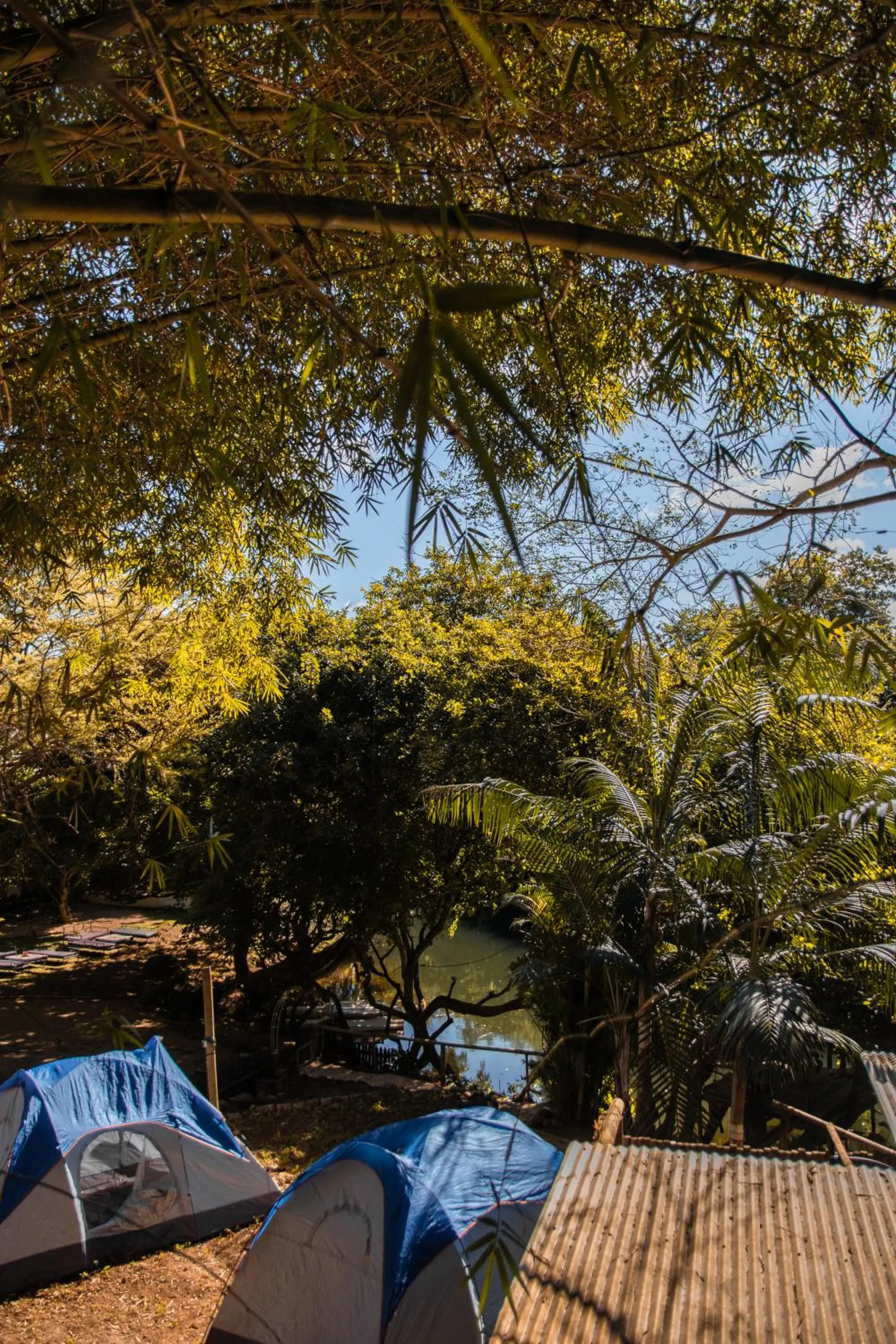 Day in Nativ Lodge and Spa