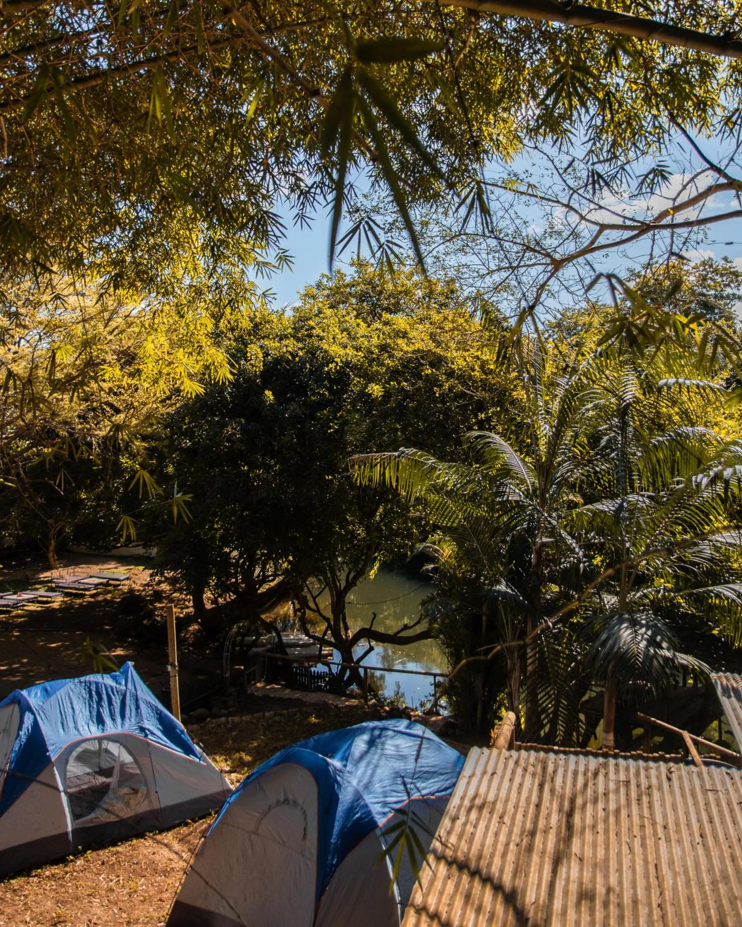 Day in Nativ Lodge and Spa