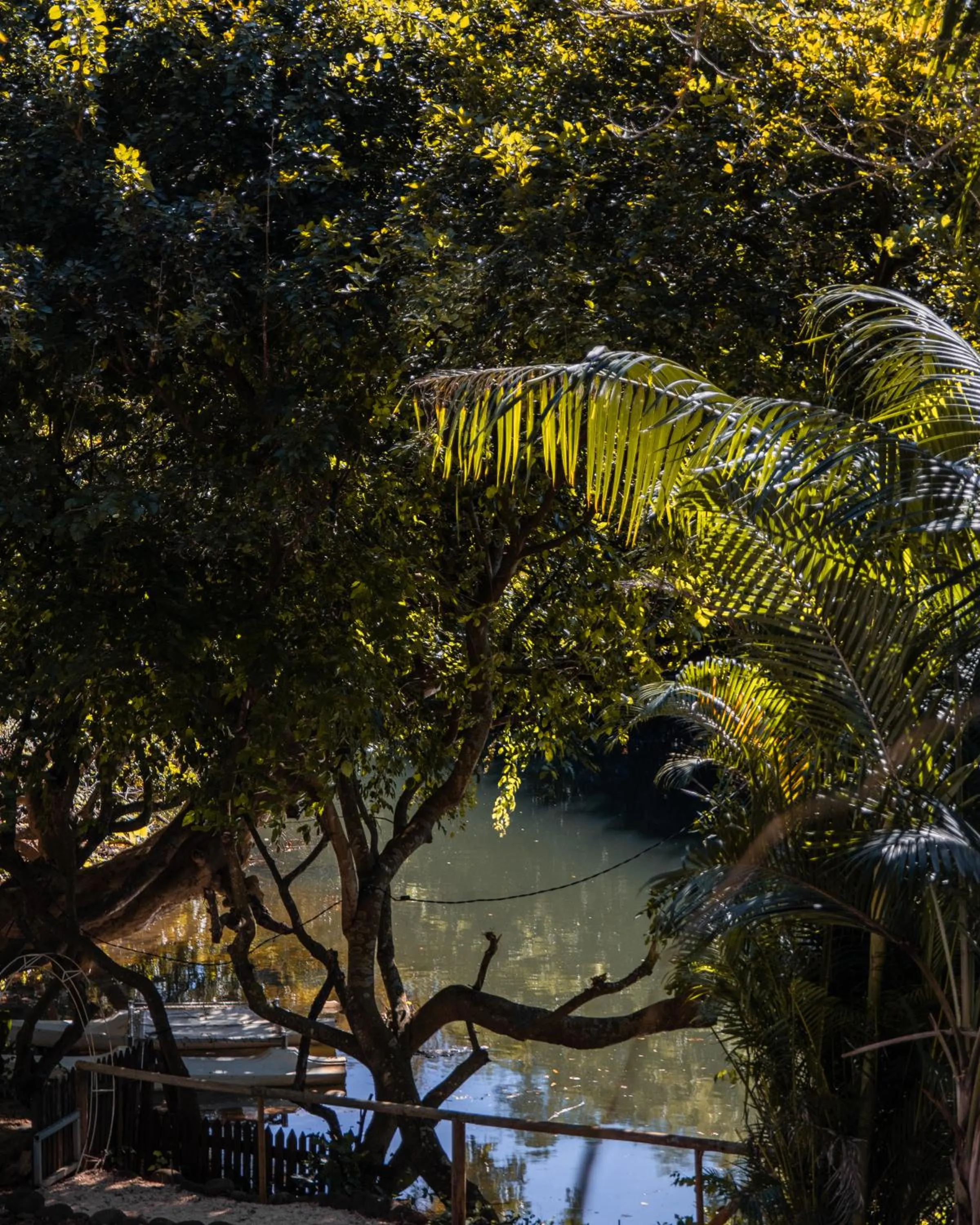 Day in Nativ Lodge and Spa