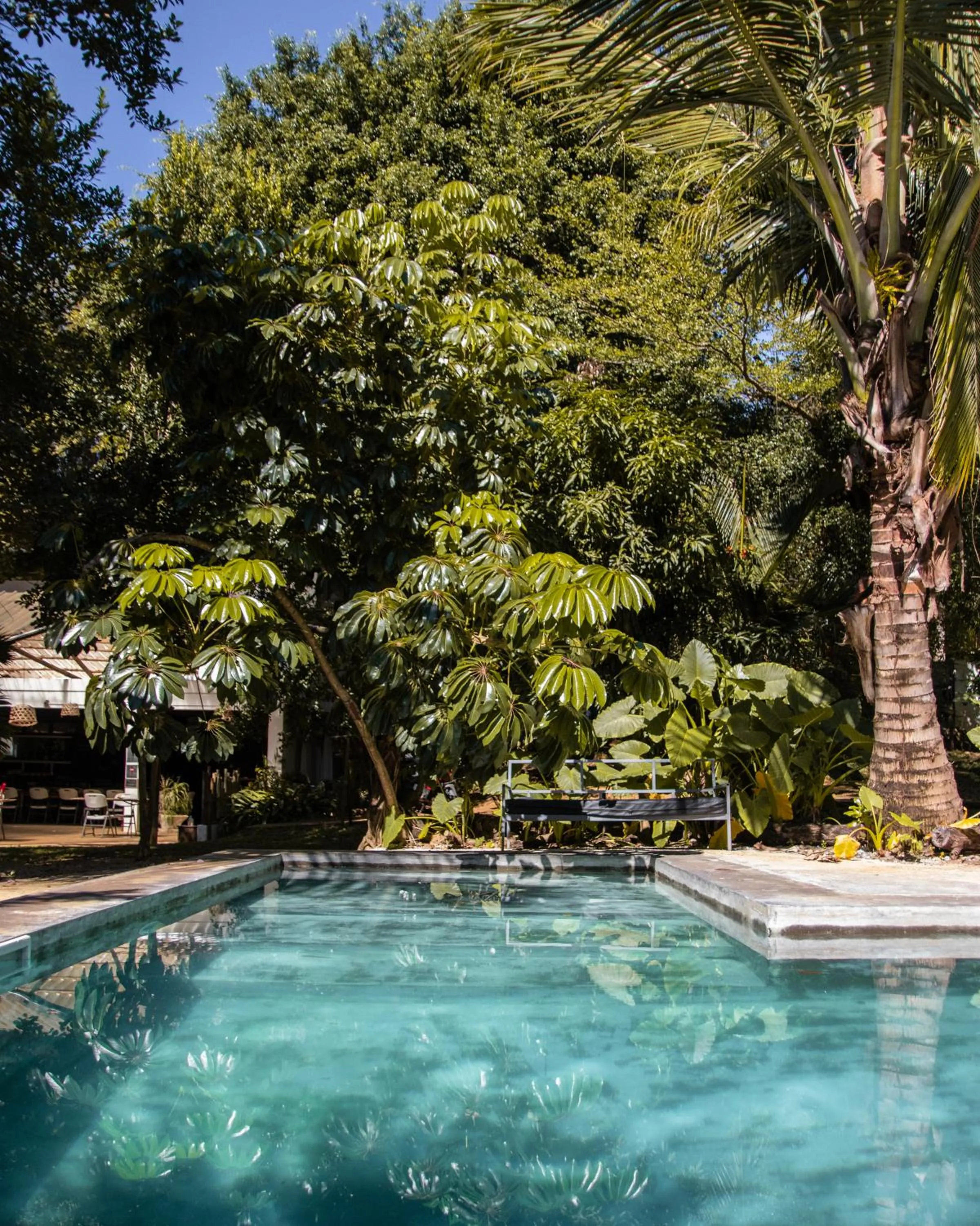 Day in Nativ Lodge and Spa