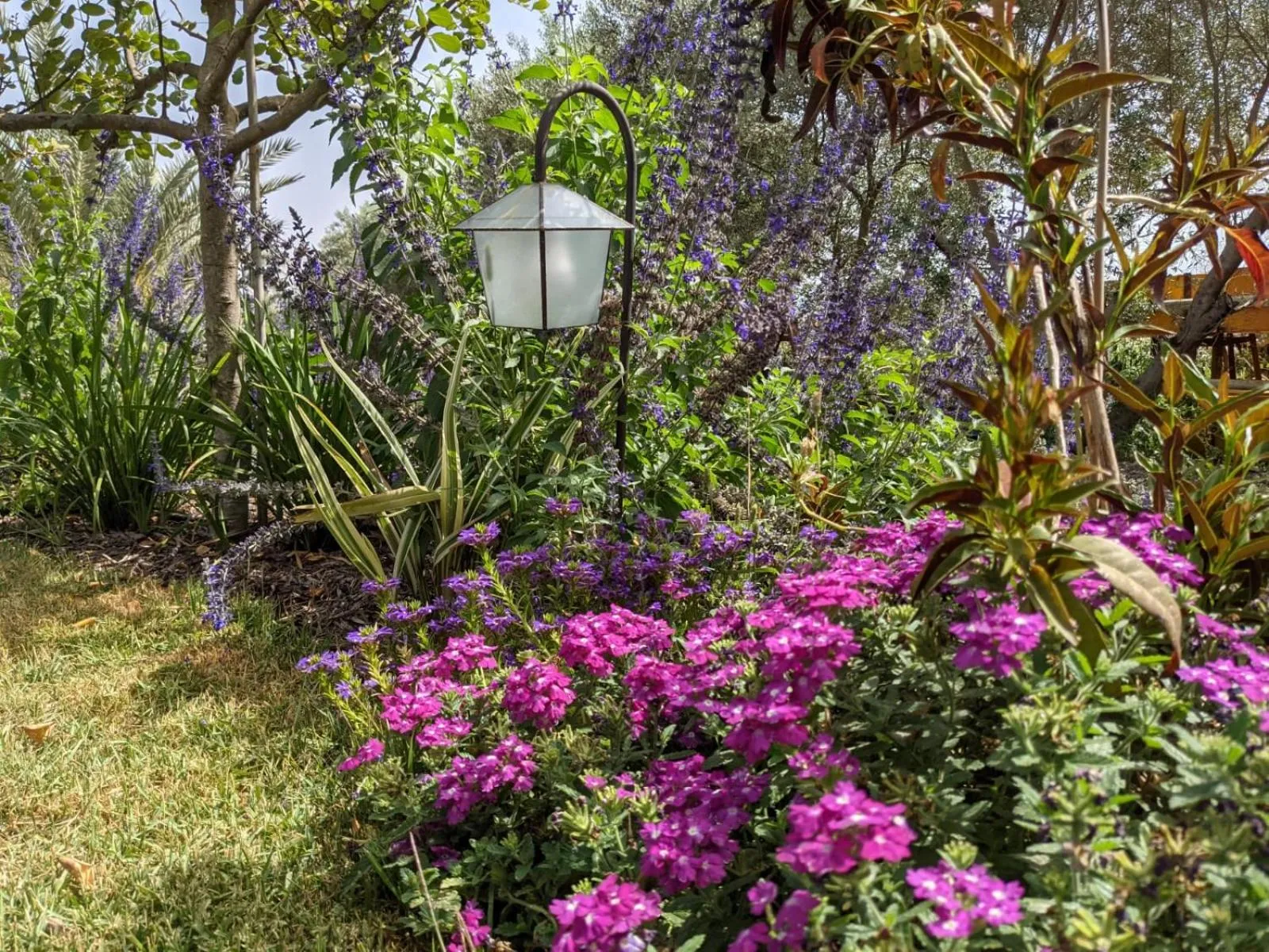 Provence in the Valley