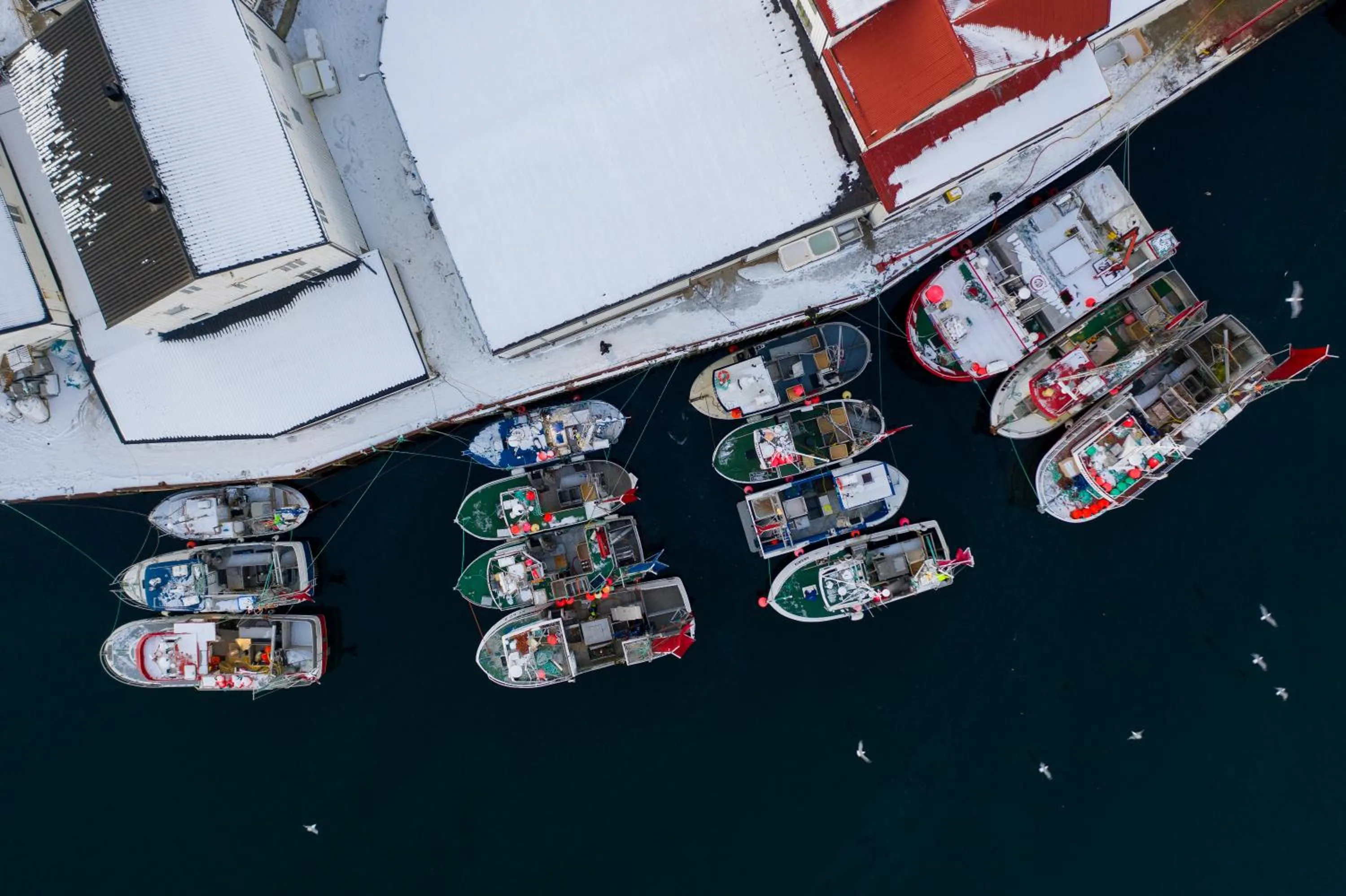 Nearby landmark in Tobiasbrygga