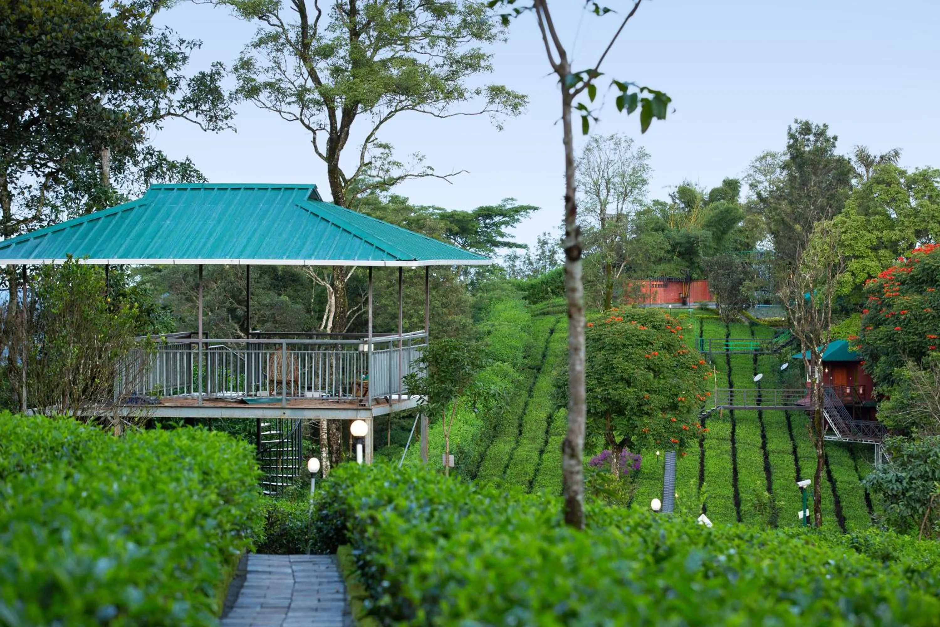 Dream Catcher Plantation Resort